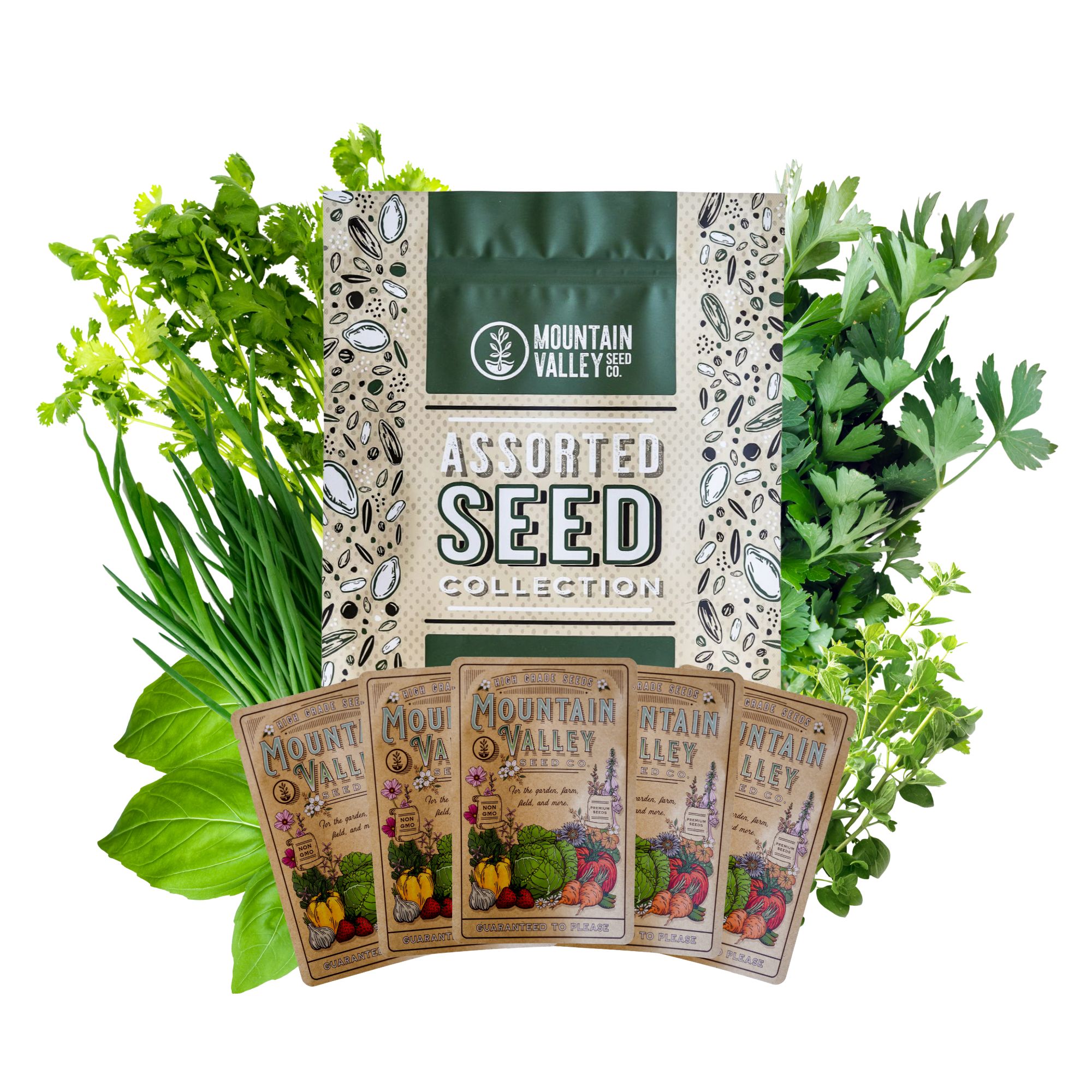 Essential Culinary Herb Seed Collection - 5 Heirloom Varieties