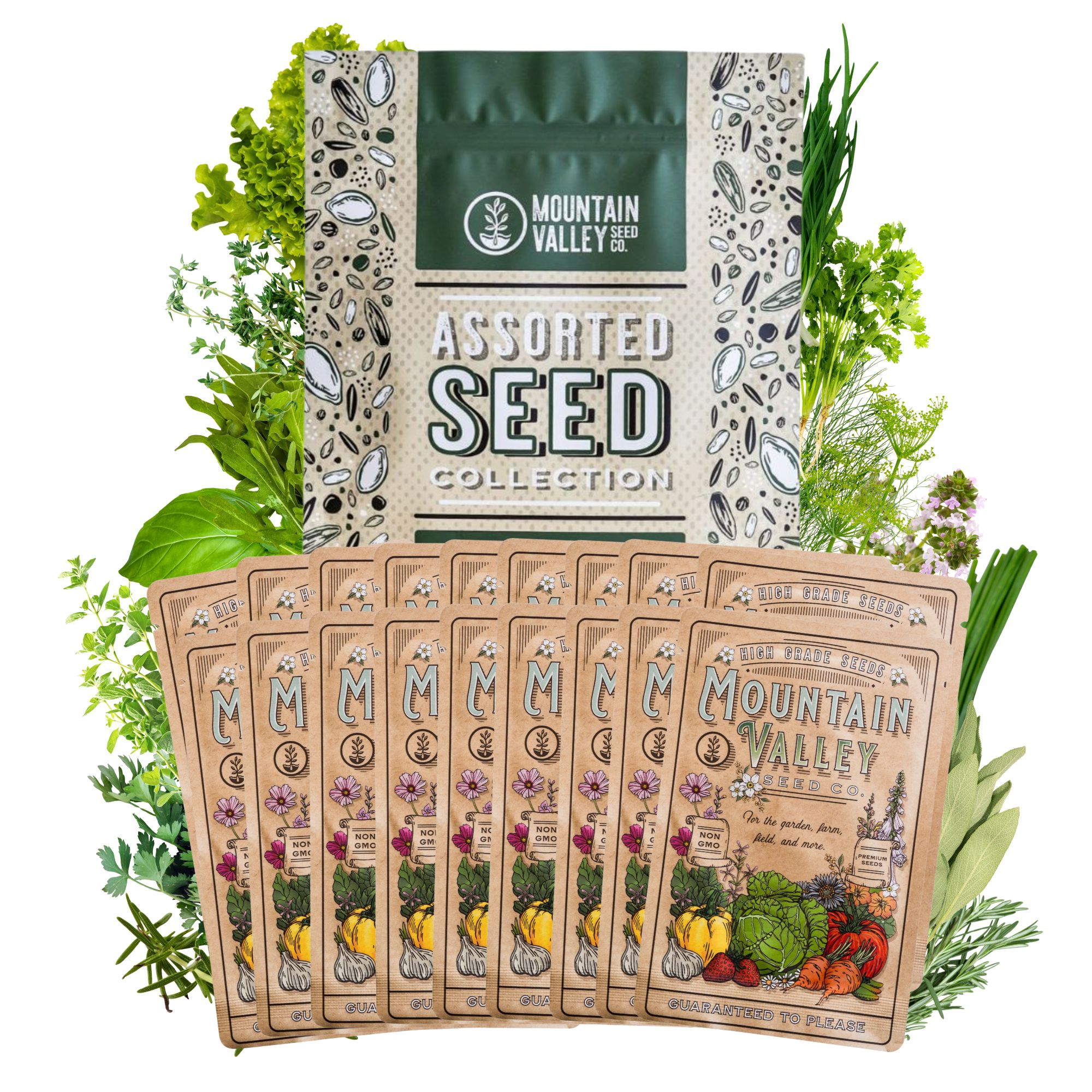 Culinary Herb Garden Seeds Collection - Premium - 18 Non-GMO Seed Varieties