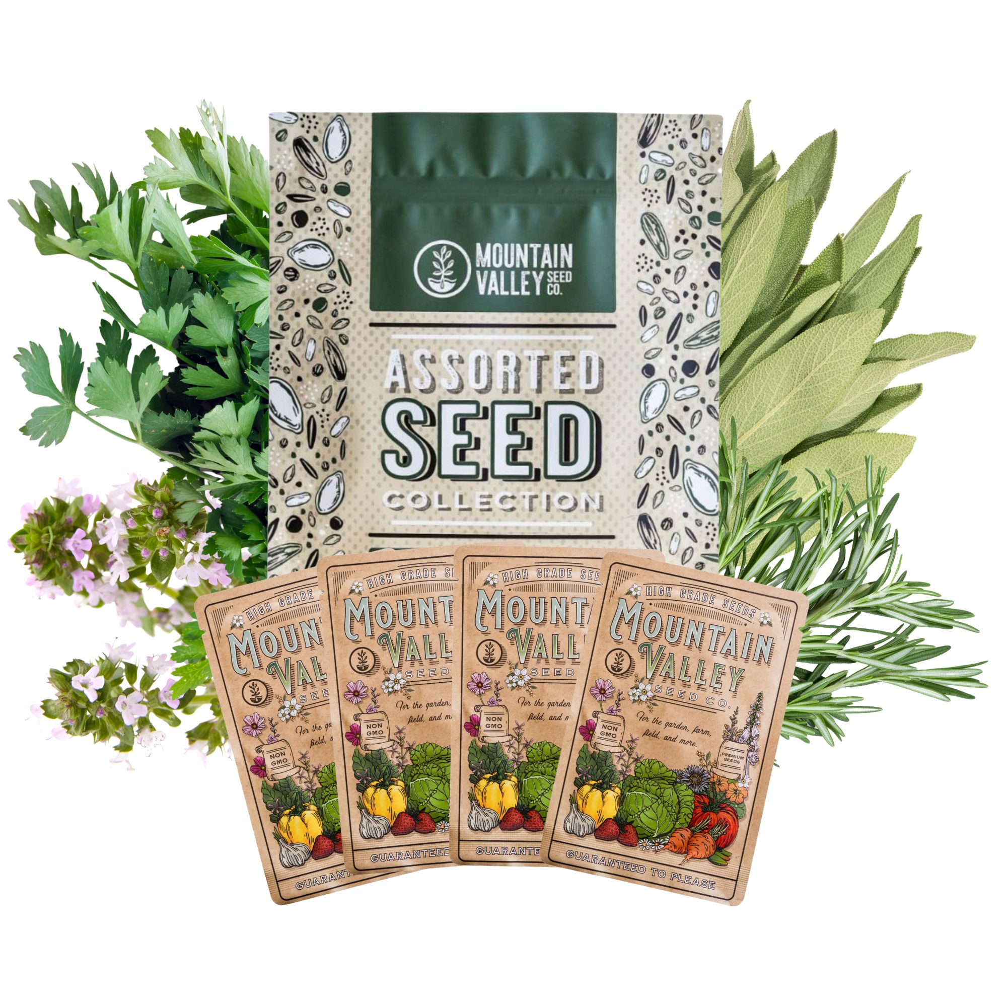 Scarborough Fair Herb Seed Collection Parsley, Sage, Rosemary, & Thyme