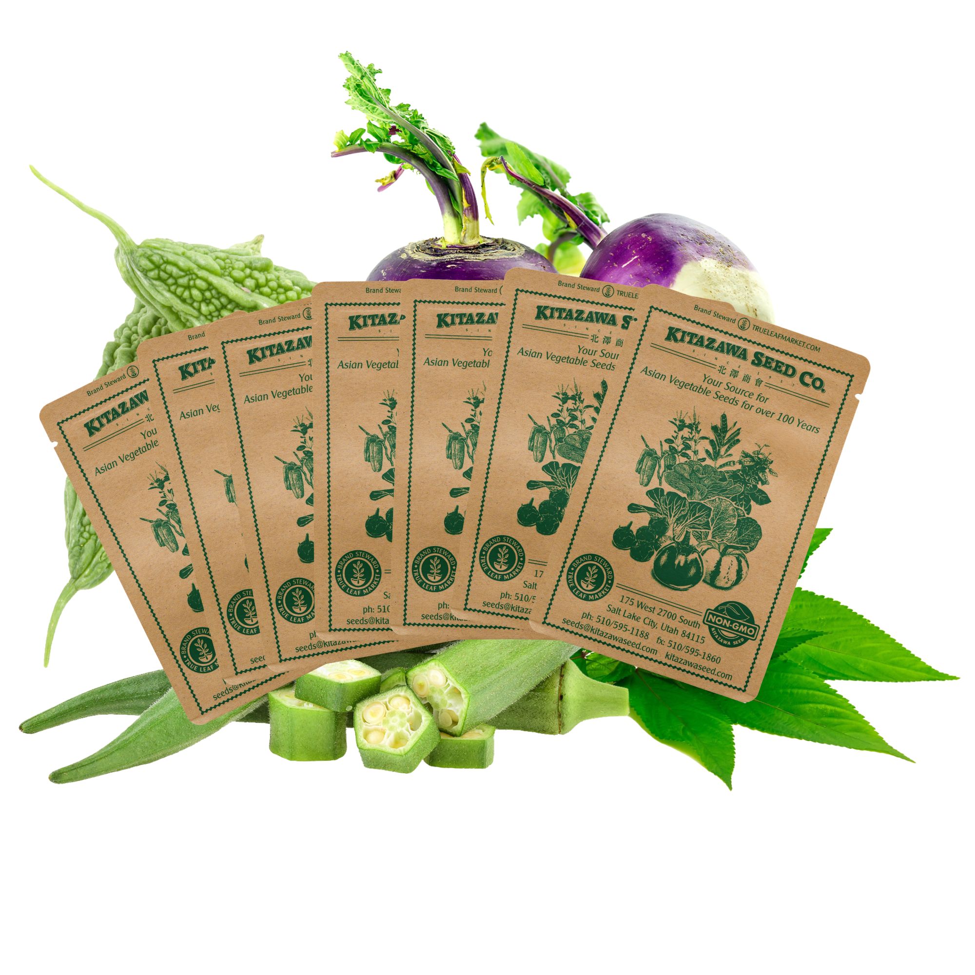 Asian Chef's Specialty Seed Assortment - Indian Cuisine Garden Seed Collection - India Vegetable seeds - Bitter Gourd, Okra, Spi