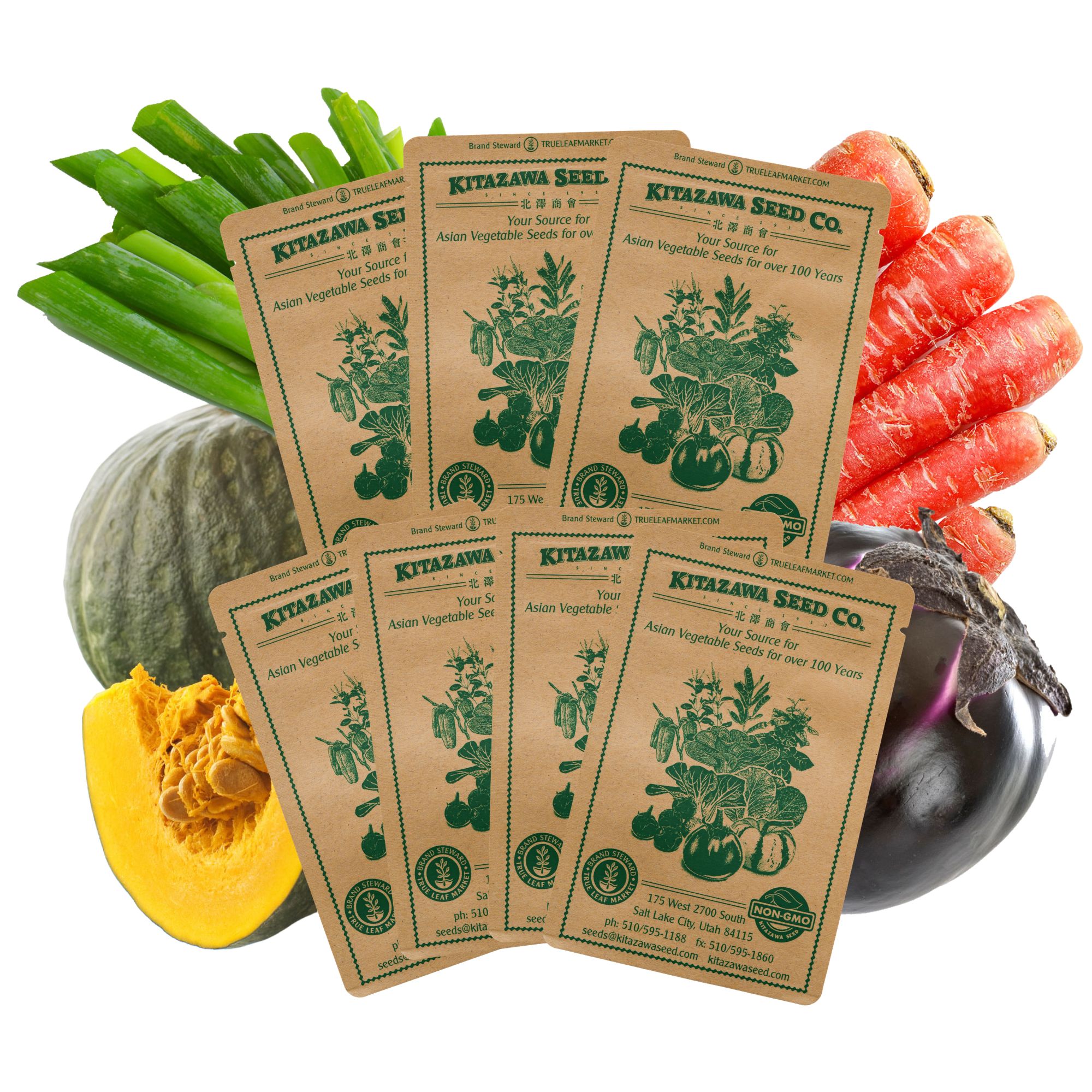 Asian Chef's Specialty Seed Assortment - Japanese Heirloom Garden Seed Collection - Japan Vegetable Seeds - Pickling Melon, Onio