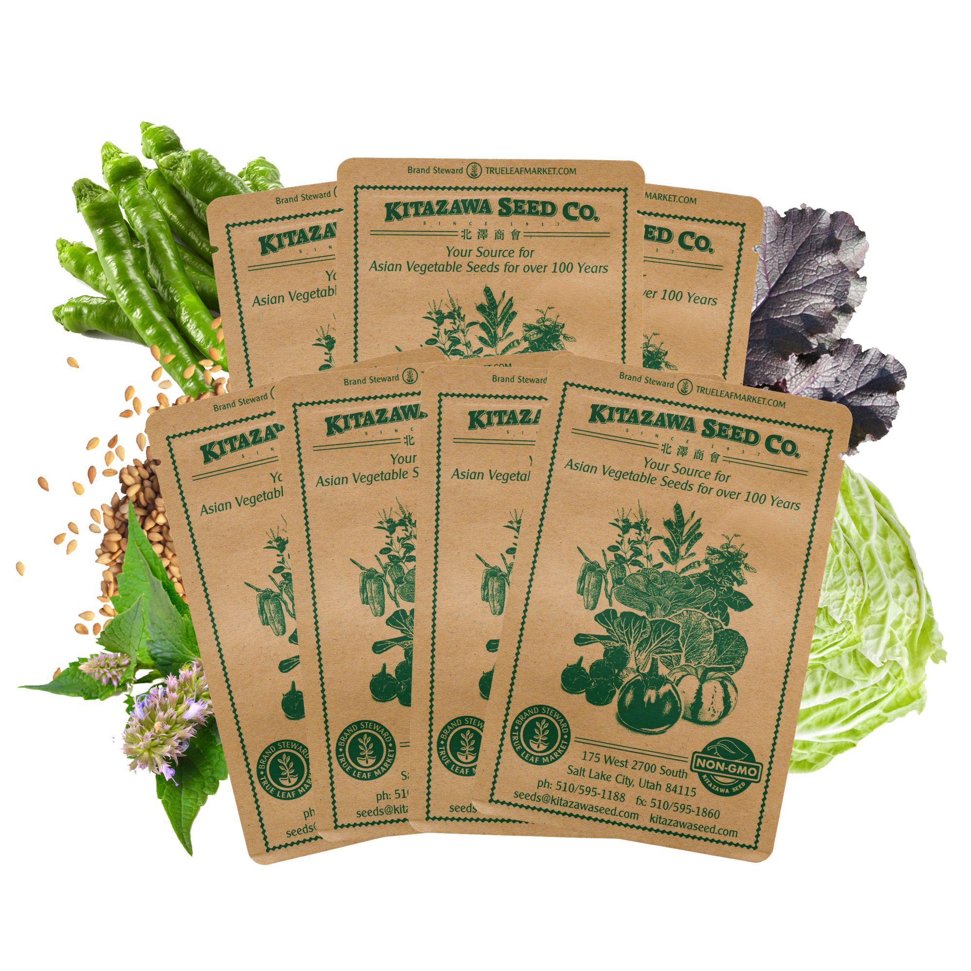 Asian Chef's Specialty Seed Assortment - Korean Cuisine Garden Seed Collection - Korea Vegetable Seeds - Radish, Pepper, Cabbage