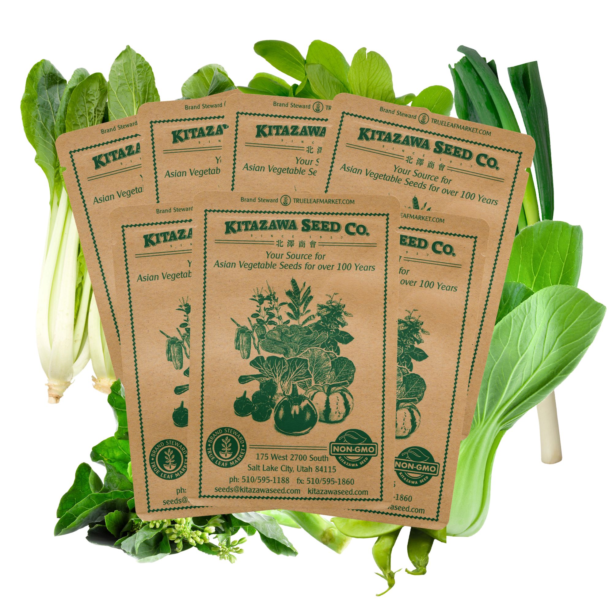 Asian Chef's Specialty Seed Assortment - Stir-fry Garden Seeds Collection - Stir Fry Garden Vegetables - Snow Pea, Broccoli, Pak