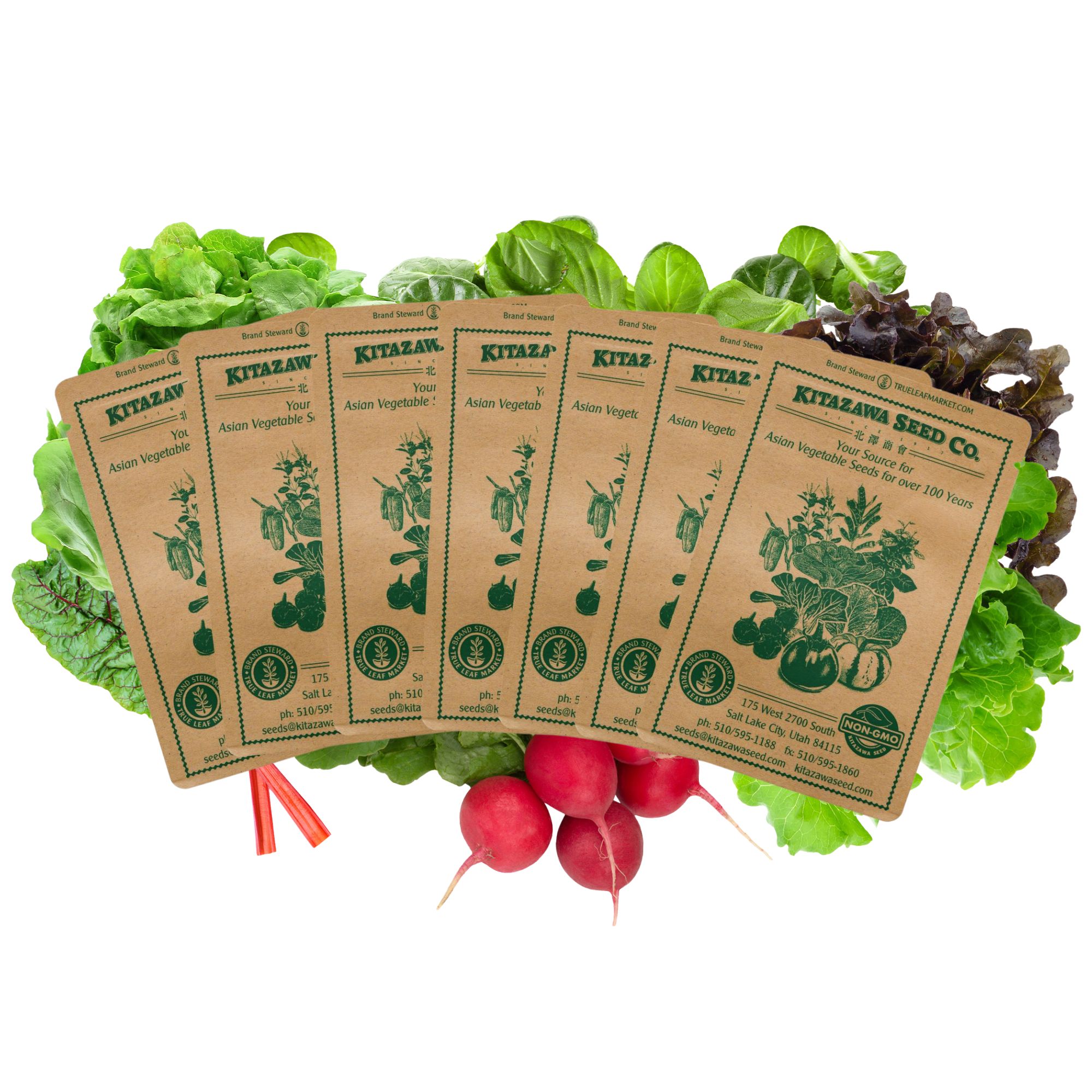 Chef's Specialty Seed Assortment - Zesty Salad Garden Seed Collection - Leafy Green & Salad Garden Seeds - Lettuce, Radish, Tats