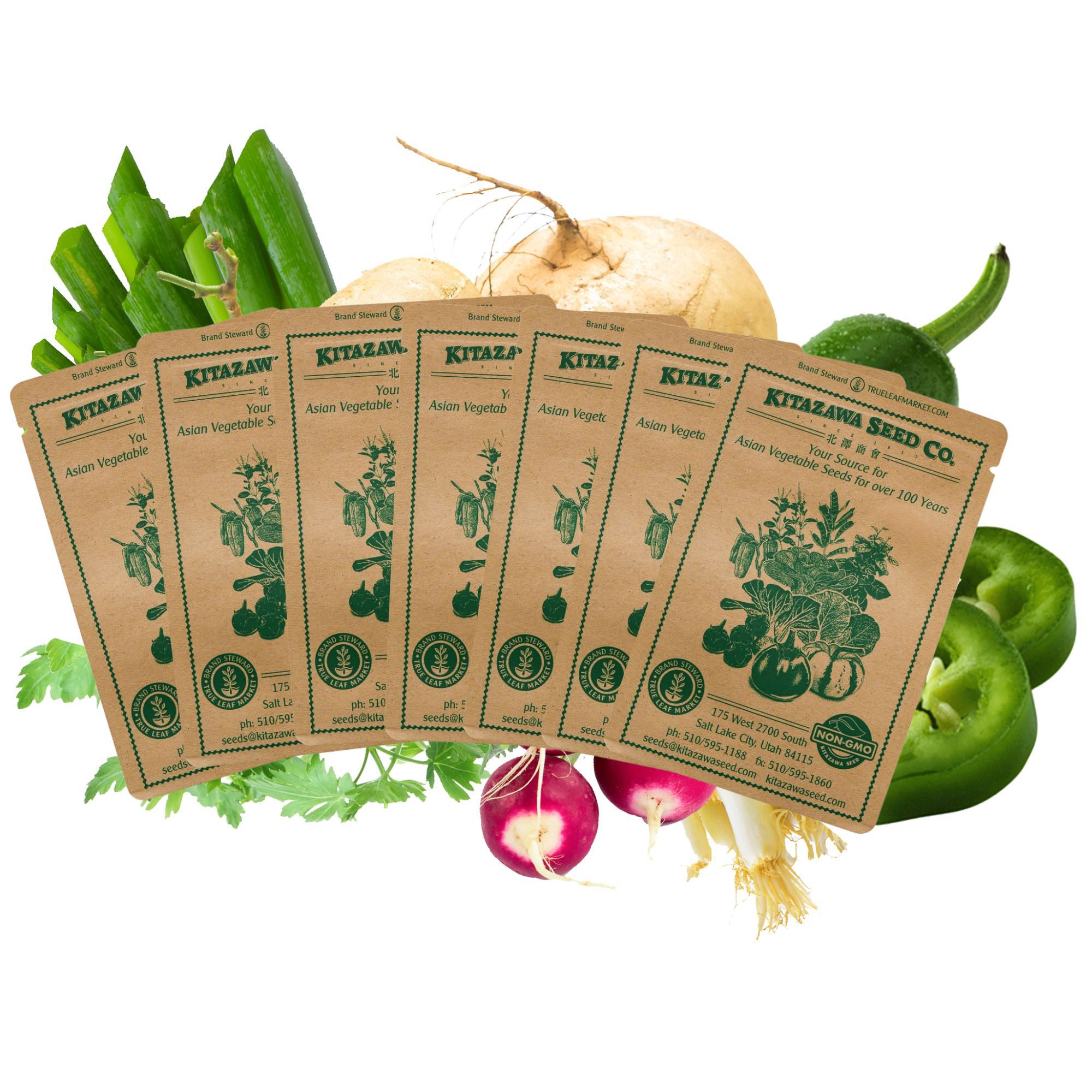 Chef's Specialty Seed Assortment - Mexican Cuisine Garden Seed Collection - Mexico Vegetable & Herb Seeds - Cilantro, Pepper, Ji