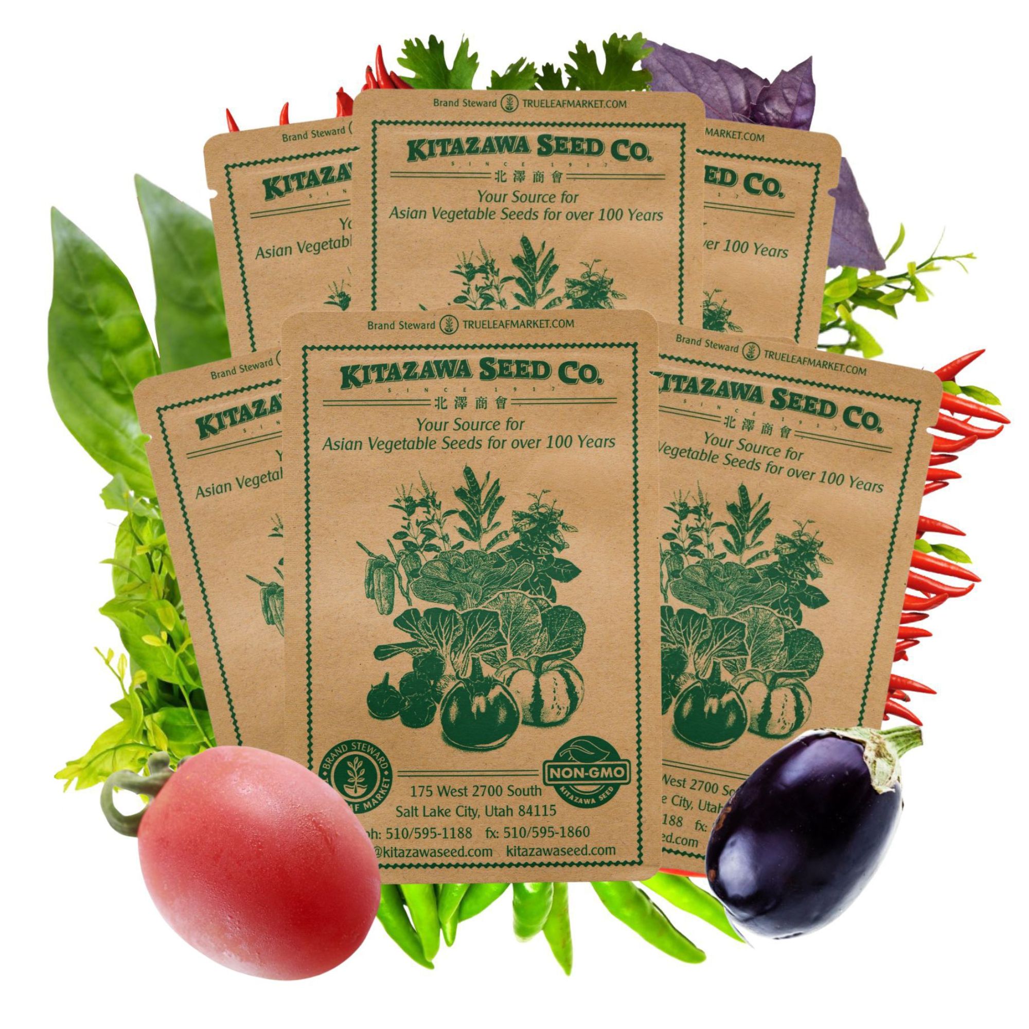 Asian Vegetables Assortment for Container Gardening â€“ Easy Grow - Non-GMO - Indoor Vegetable Gardening - Small Space Gard