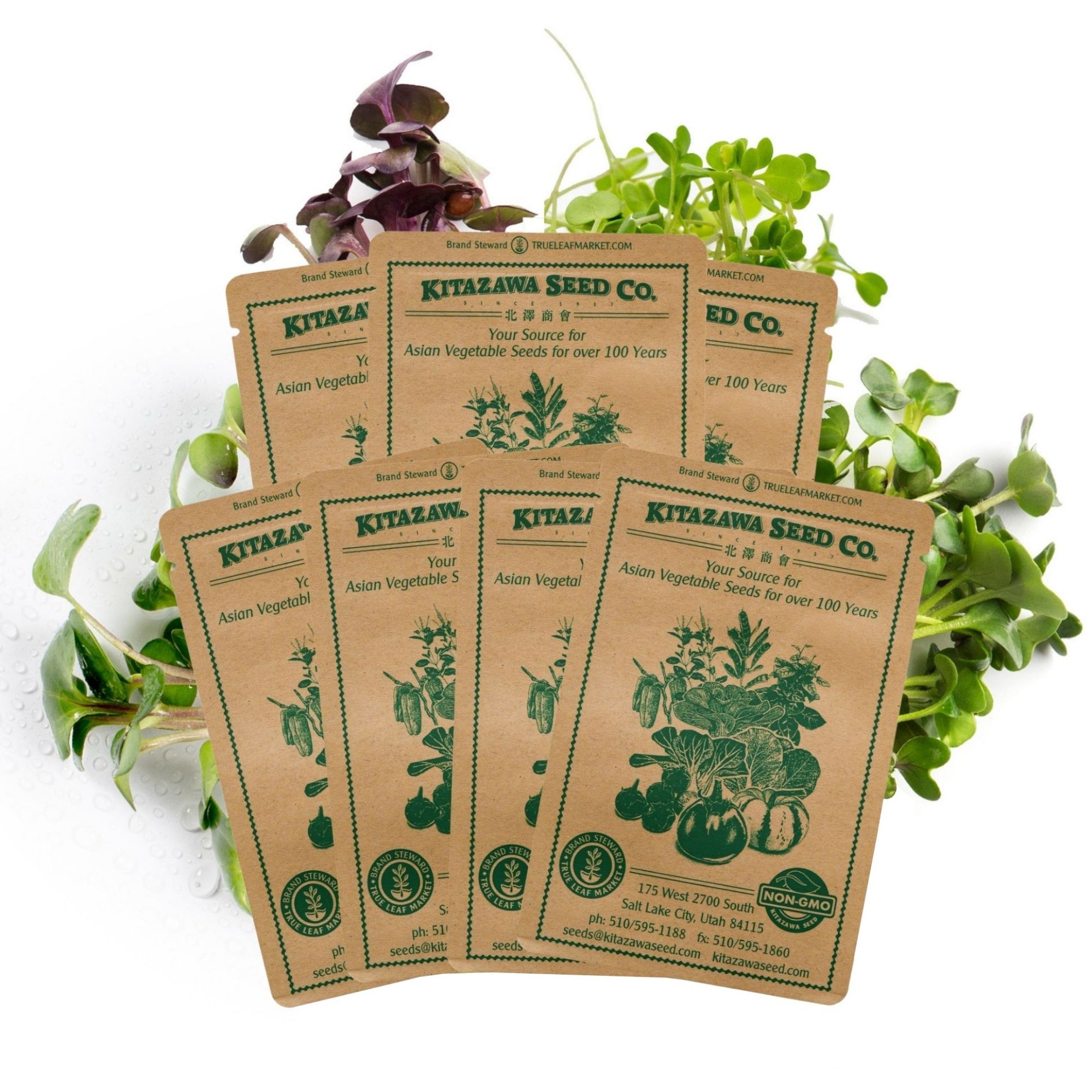 Asian Chef's Specialty Seed Assortment - Microgreens Garden Seed Collection - Asian Microgreens - Mizuna, Tatsoi, Sango Radish, 