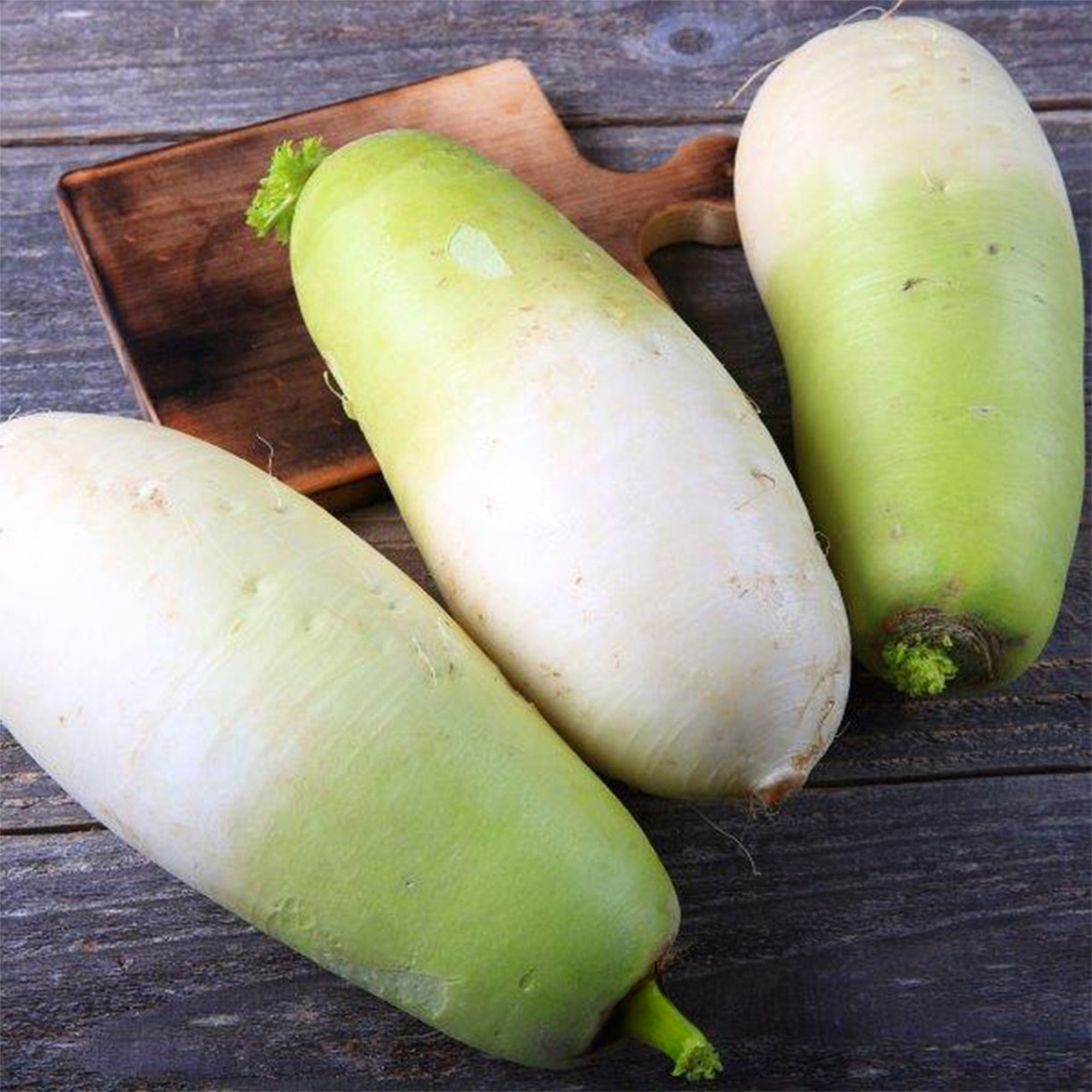 Radish Seeds - Korean - Cheong Du - Hybrid -1 Oz ~4500 Seeds - Non-GMO, F1 Hybrid - Asian Garden Vegetable
