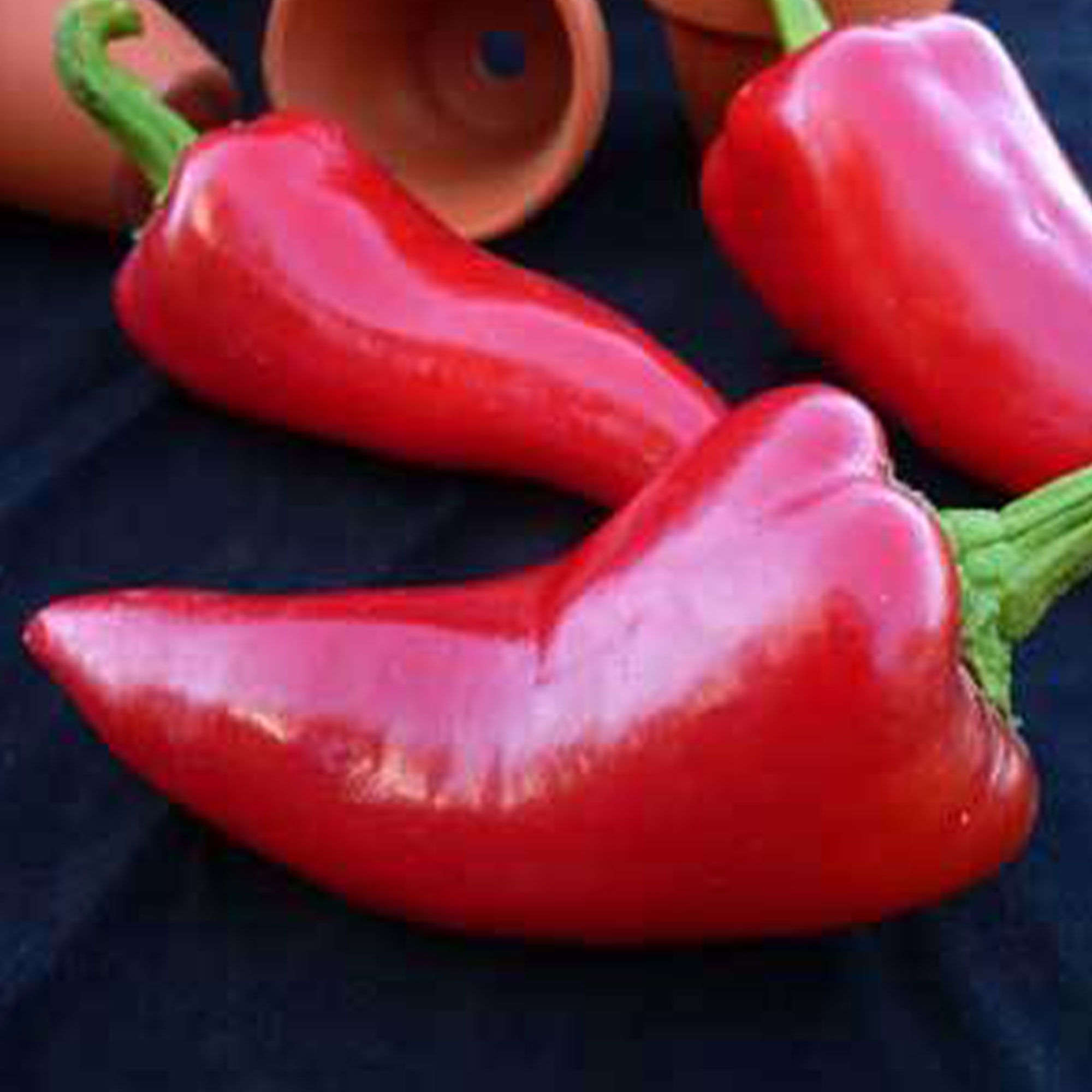 Hot Pepper Seeds - Fresno Chili - 1 Oz ~5,000 - Garden, Heirloom - Buy Non-GMO Capsicum annuum Farm & Gardening Seeds Online