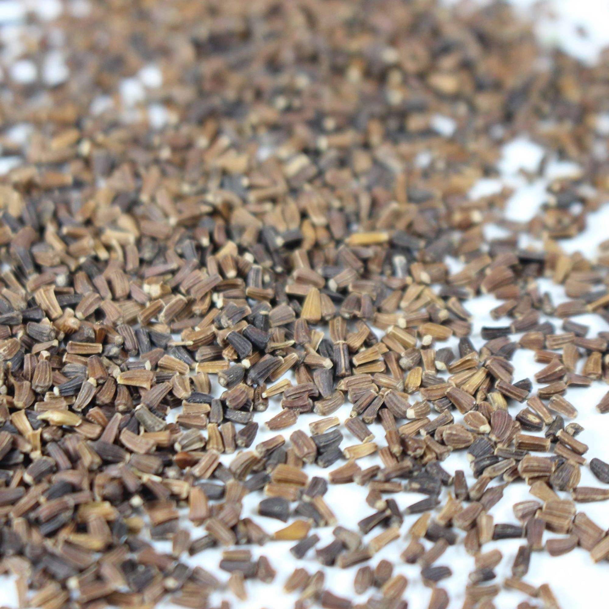 Chrysanthemum Flower Garden Seeds - Broad Leaf, Edible - 1 Oz - Wildflower - Buy Non-GMO Chrysanthemum coronarium Farm & Gardeni