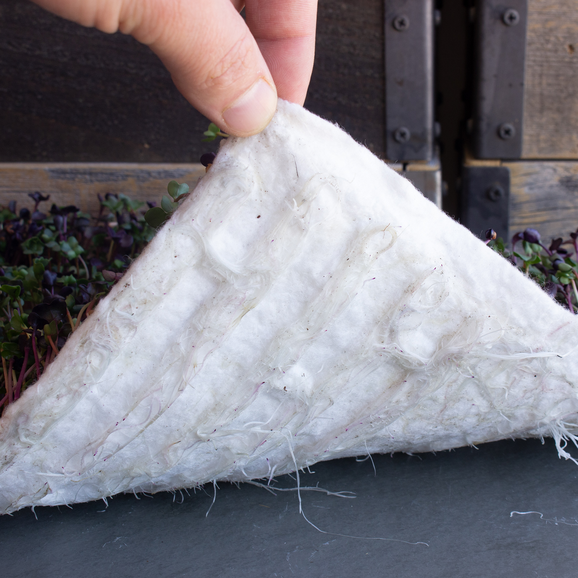 Premium Bamboo Microgreens Grow Mats - Case of 100 Hydroponic Pads - Growing Micro Greens, Microgreens, Wheatgrass, Wheat Grass