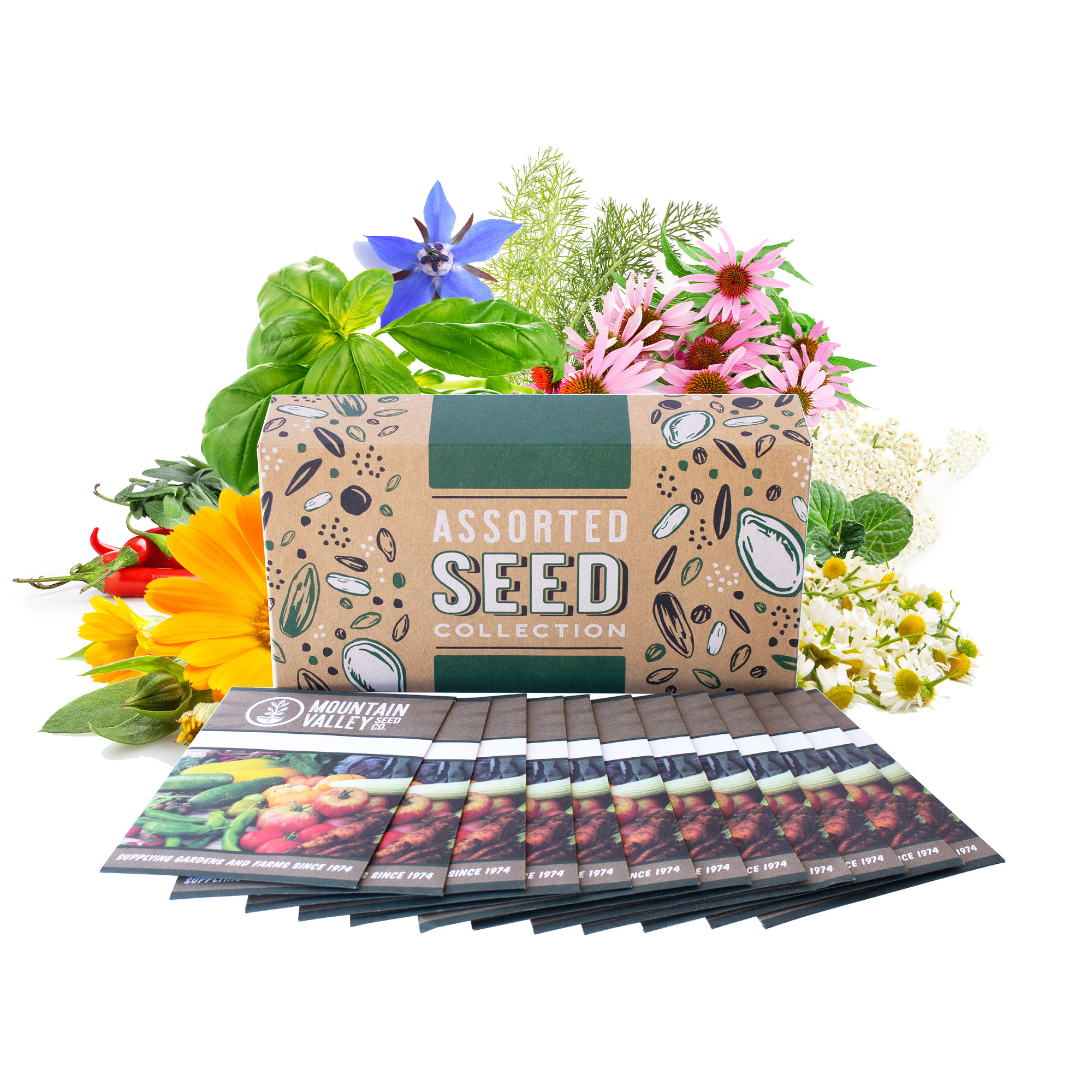 Medicinal & Herbal Tea Garden Seed Collection - Deluxe - 12 Non-GMO Herbs