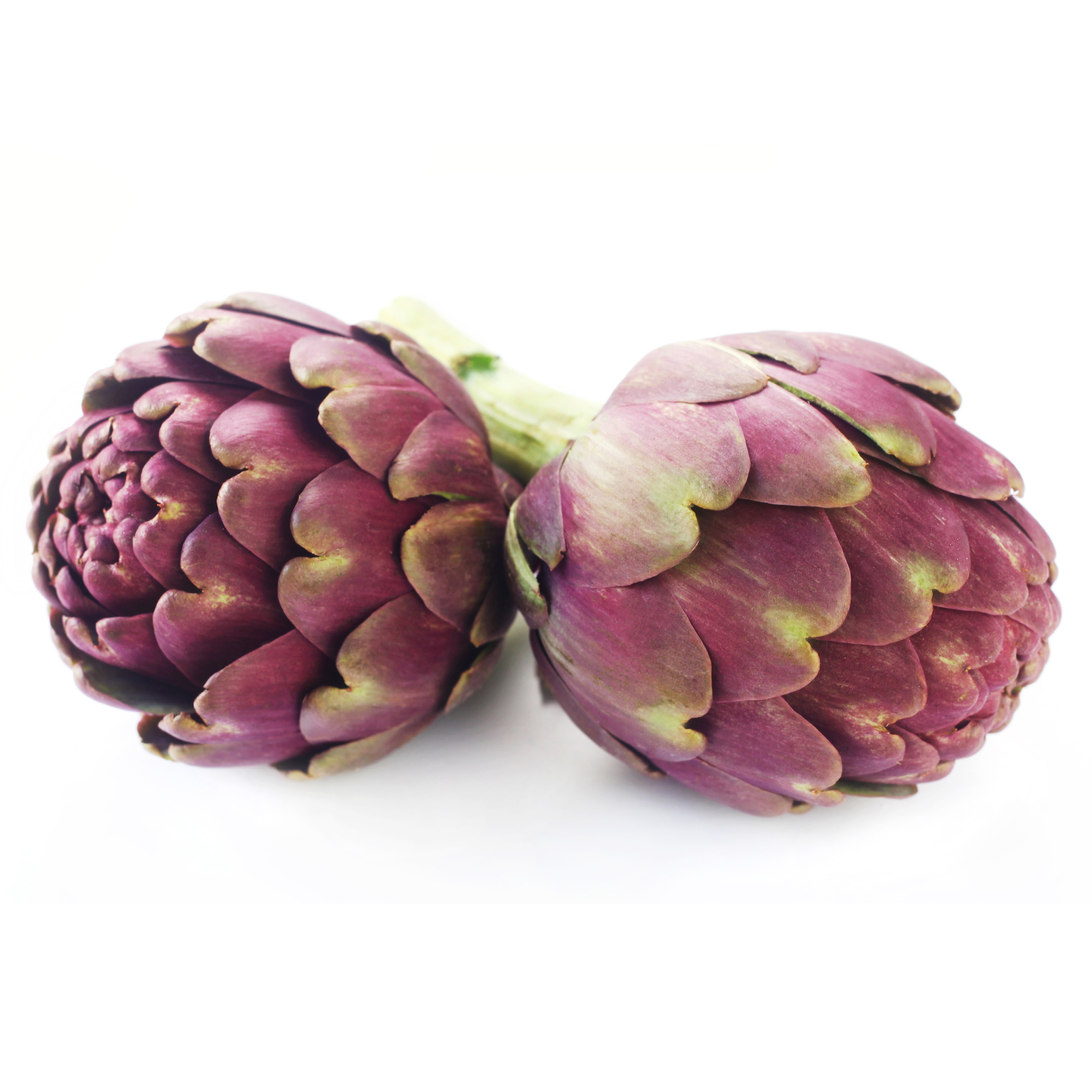 Artichoke Seeds - Violet Star - 4 Oz ~2,520 - Vegetable - Non-GMO - Buy Non-GMO Cynara cardunculus var. scolymus Farm & Gardenin