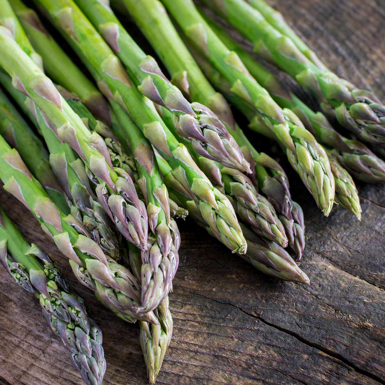 Seeds: Asparagus- Mary Washington - Packet: 40 Seeds -Heirloom Garden - Buy Non-GMO Asparagus officinalis Farm & Gardening Seeds