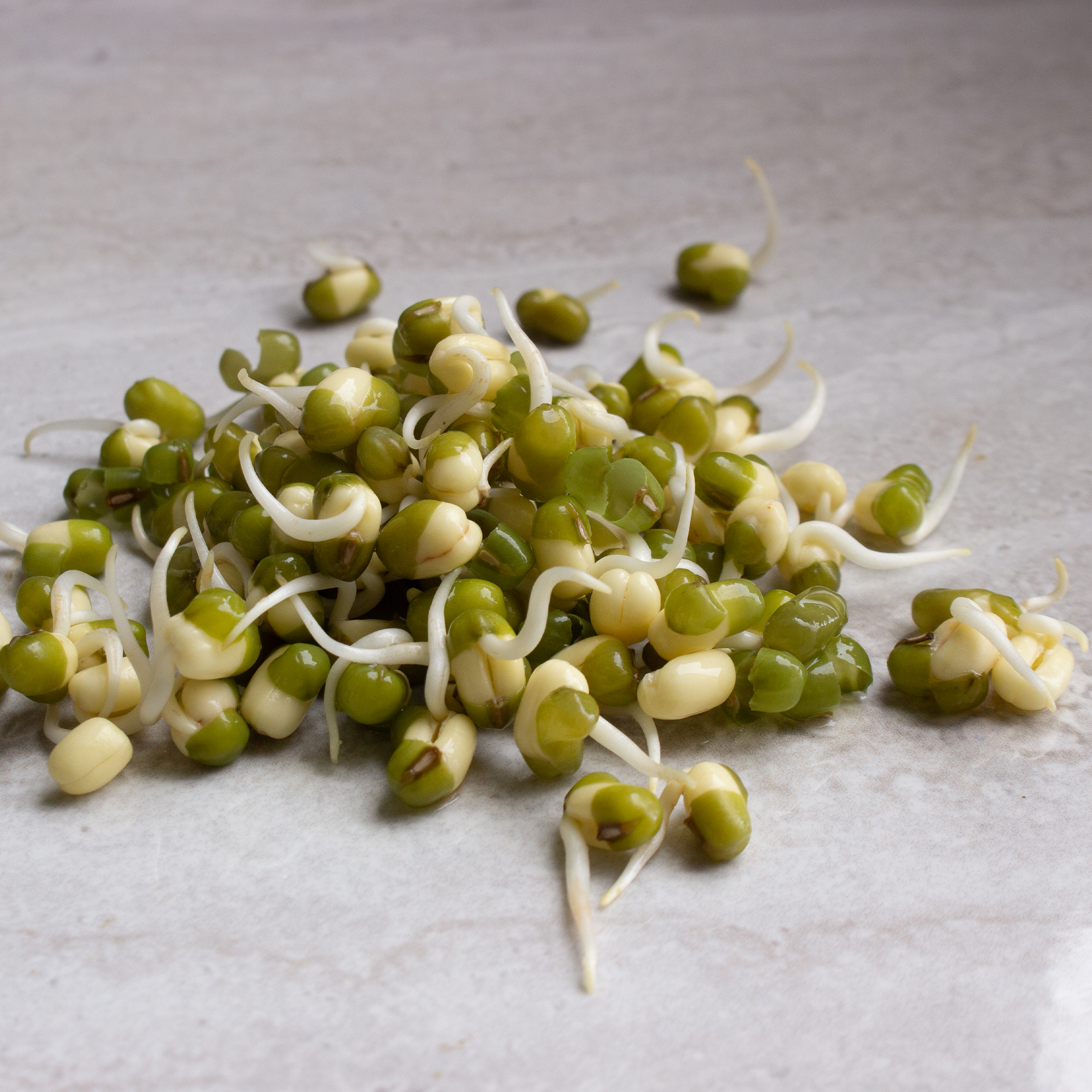Organic Mung Bean Sprouting Seeds - Sprout Beans - For Sprouts - 1 Lb - Buy Non-GMO Vigna radiata var. radiata Farm & Gardening 