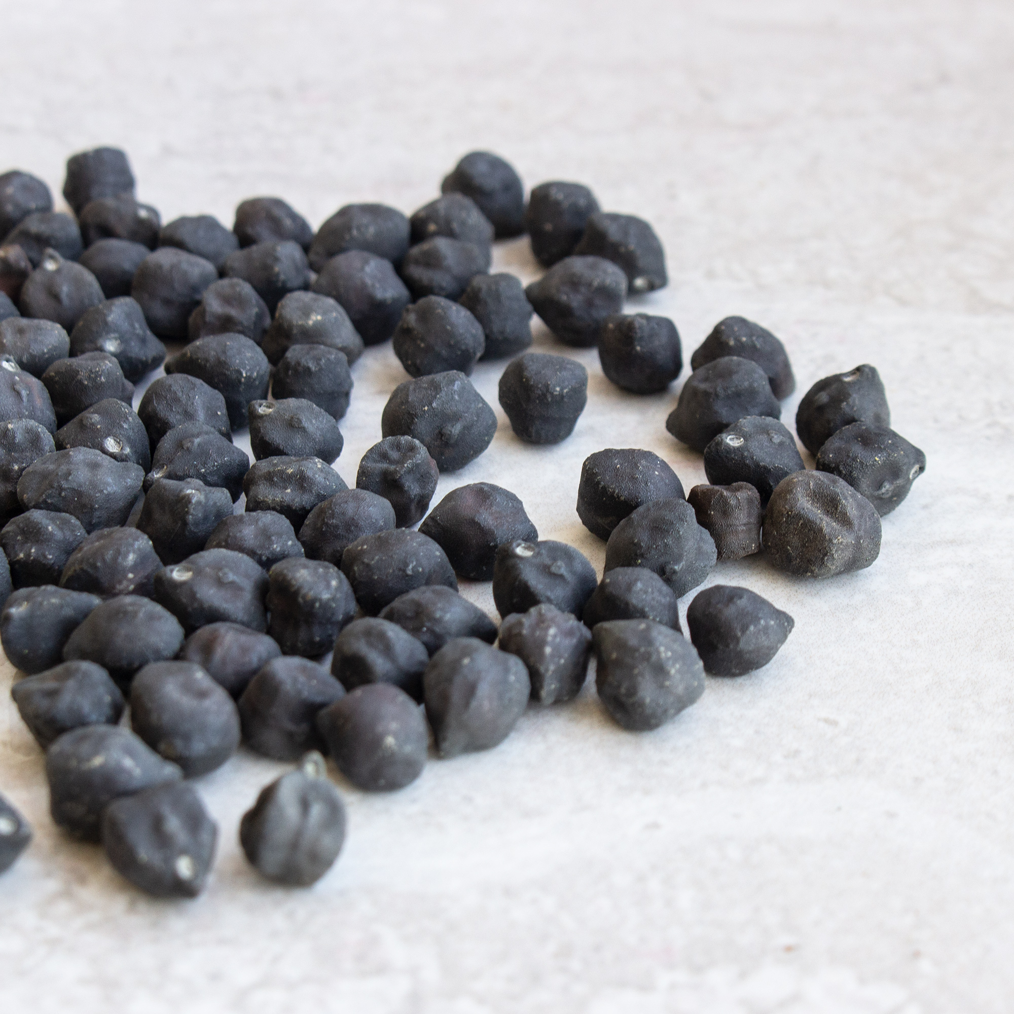 Bean Seeds - Organic Black Garbanzo - 1 Lb ~1,200 Seeds - Gardening - Buy Non-GMO Cicer arietinum Farm & Gardening Seeds Online