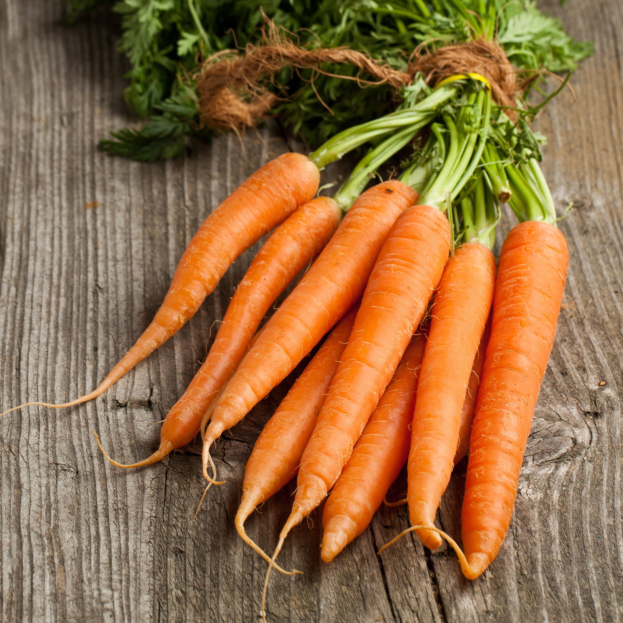 Carrot Seeds - Kuroda Long 8 - 4 Oz ~80K - Garden -Non-GMO, Heirloom - Buy Non-GMO Daucus carota var. sativus Farm & Gardening S