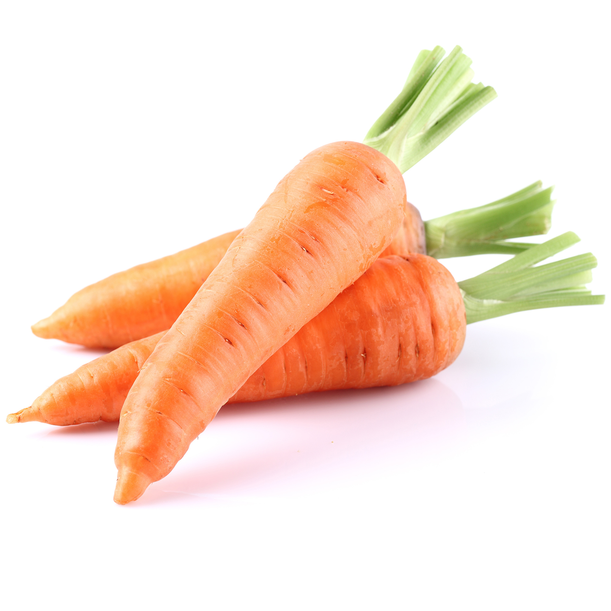 Carrot - Nantes Mini Core - 3 g Packet ~2100 Seeds - Garden, Heirloom - Buy Non-GMO Daucus carota var. sativus Farm & Gardening 