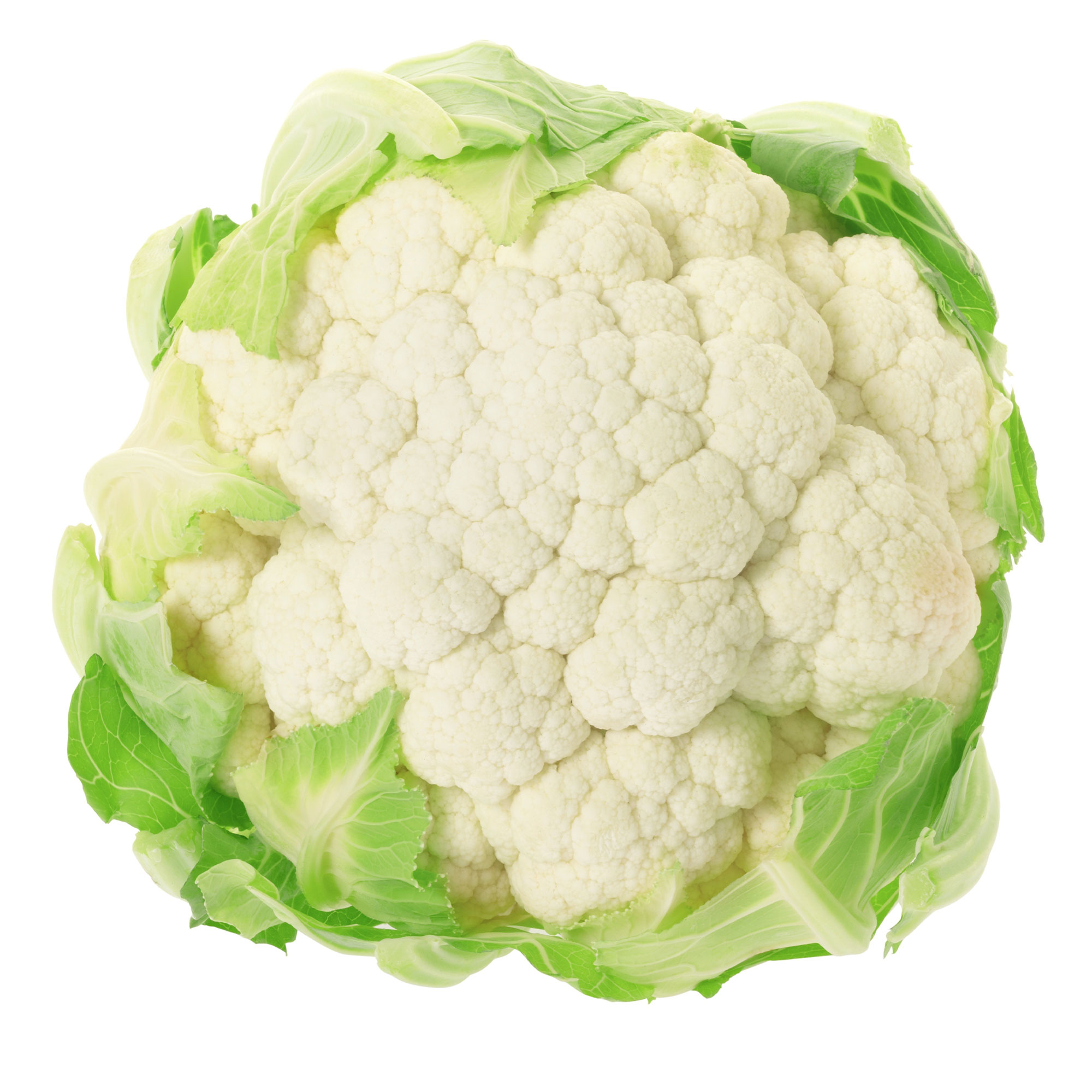 Cauliflower Seeds - Igloo - 1 Lb Bulk ~144K - Vegetable & Microgreens - Buy Non-GMO Brassica oleracea var. botrytis Farm & Garde