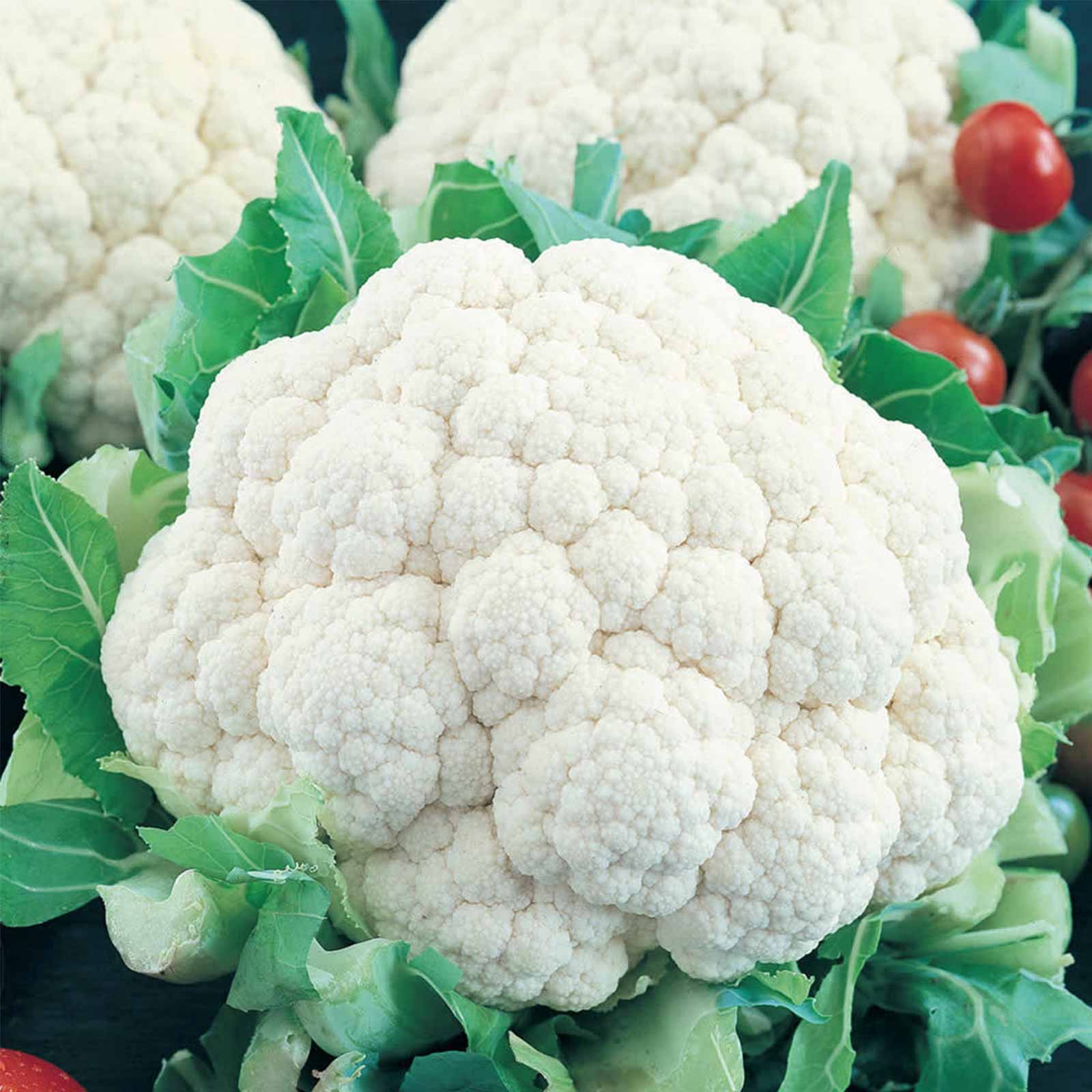 Seeds: Snowball CauliFlower-1 Oz-Vegetable Garden Microgreen -Non-GMO - Buy Non-GMO Brassica oleracea var. botrytis Farm & Garde