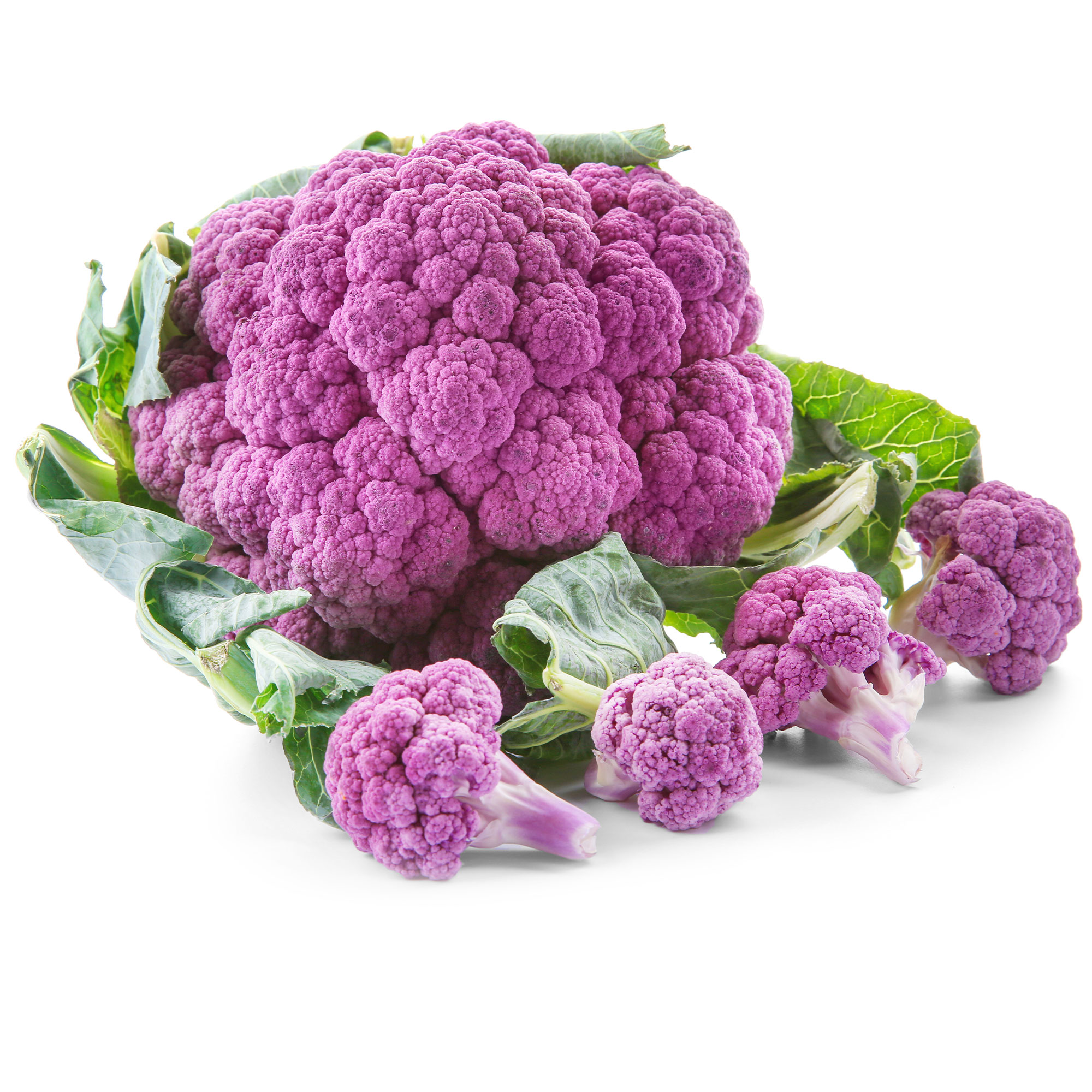 Cauliflower Seeds - Violetta Italia - 1 Lb Bulk ~144K - Garden, Micros - Buy Non-GMO Brassica oleracea var. botrytis Farm & Gard