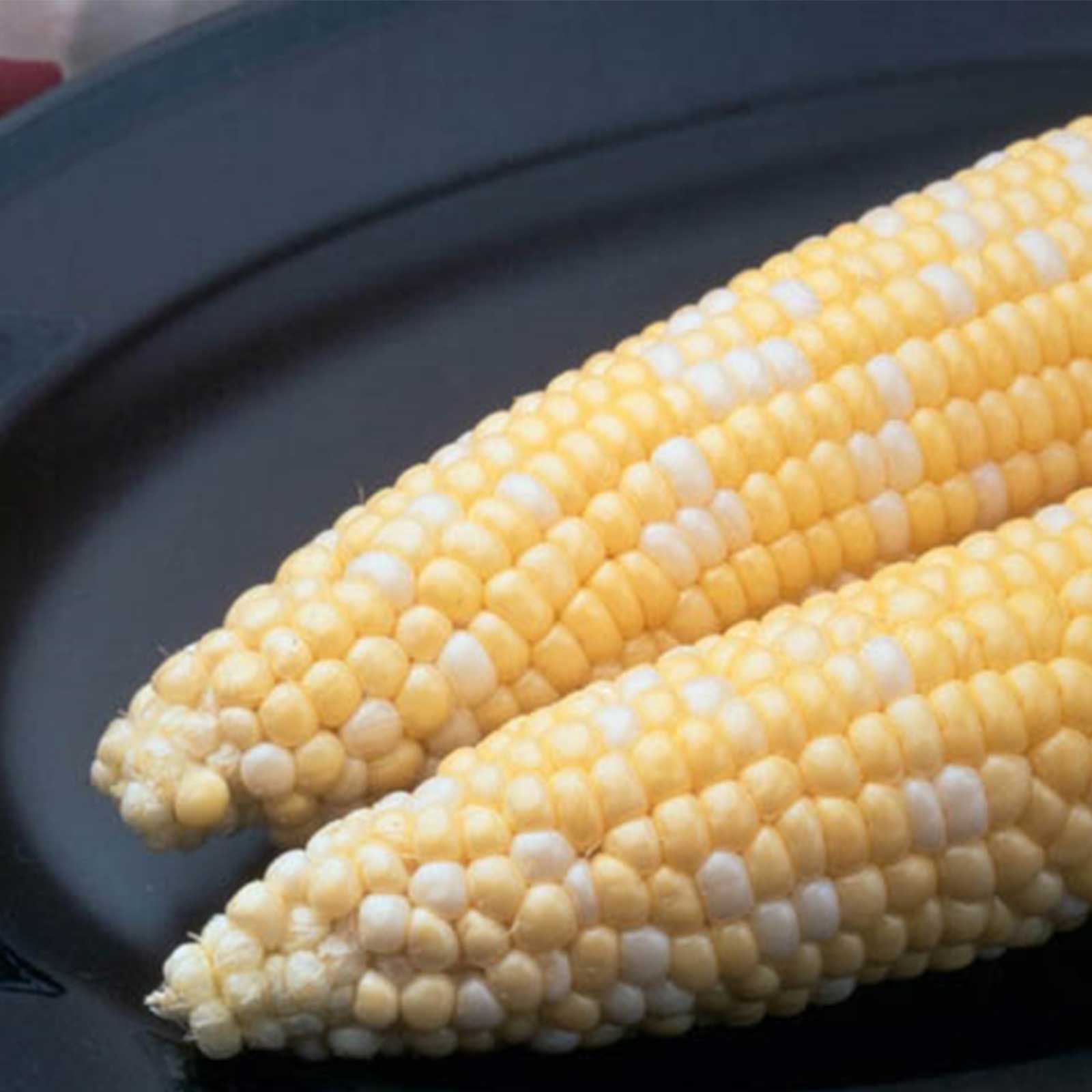 Seeds: Ambrosia Hybrid Corn Garden (Treated) -5 Lb- Non-GMO Bi-Color - Buy Non-GMO Zea mays Farm & Gardening Seeds Online
