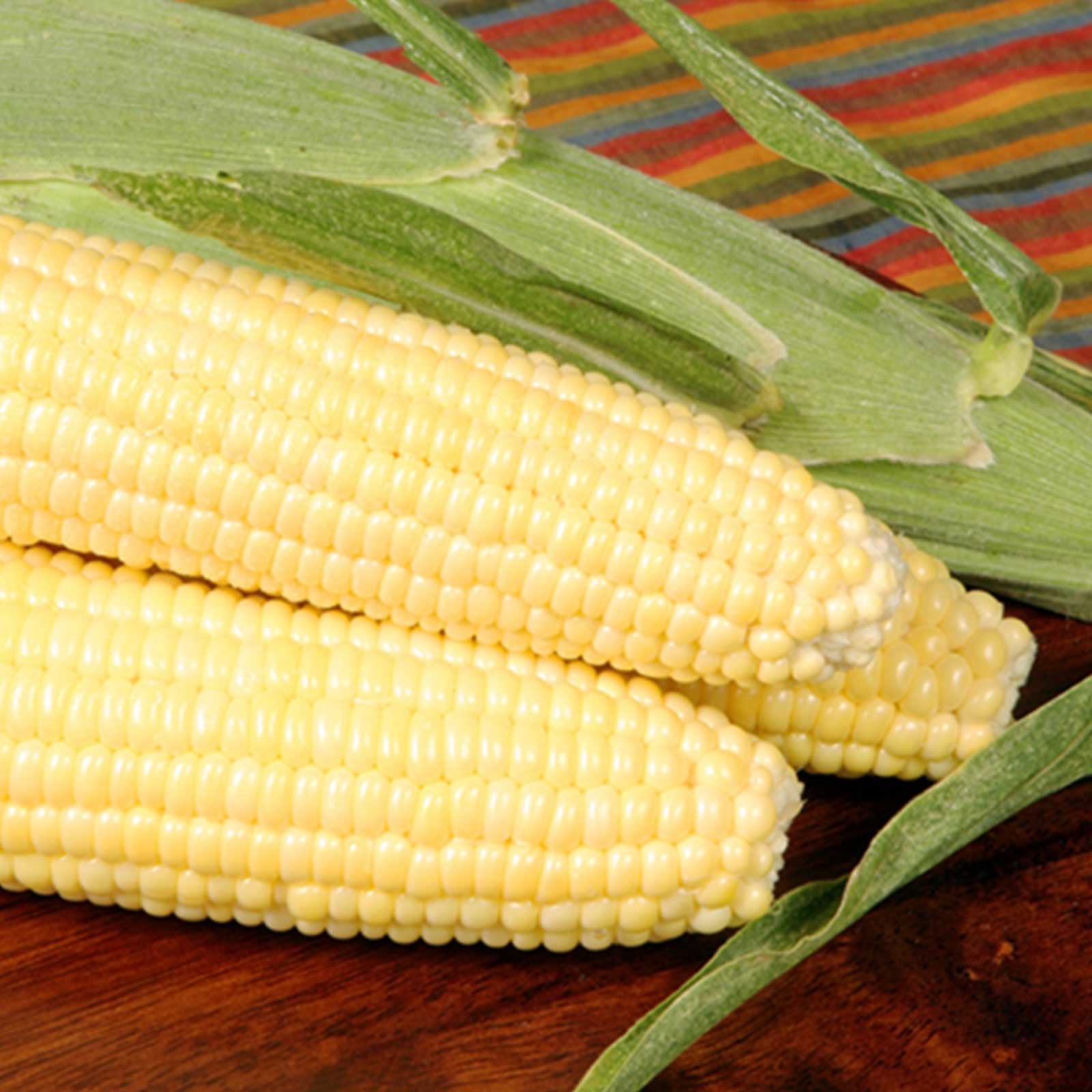 Seeds: Bodacious R/M Hybrid Corn Garden (Treated) - 5 Lb- Non-GMO SE - Buy Non-GMO Zea mays Farm & Gardening Seeds Online