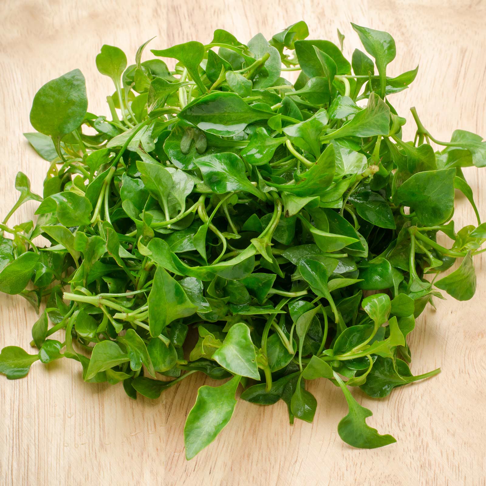 seeds cress curled seed cress curled seed