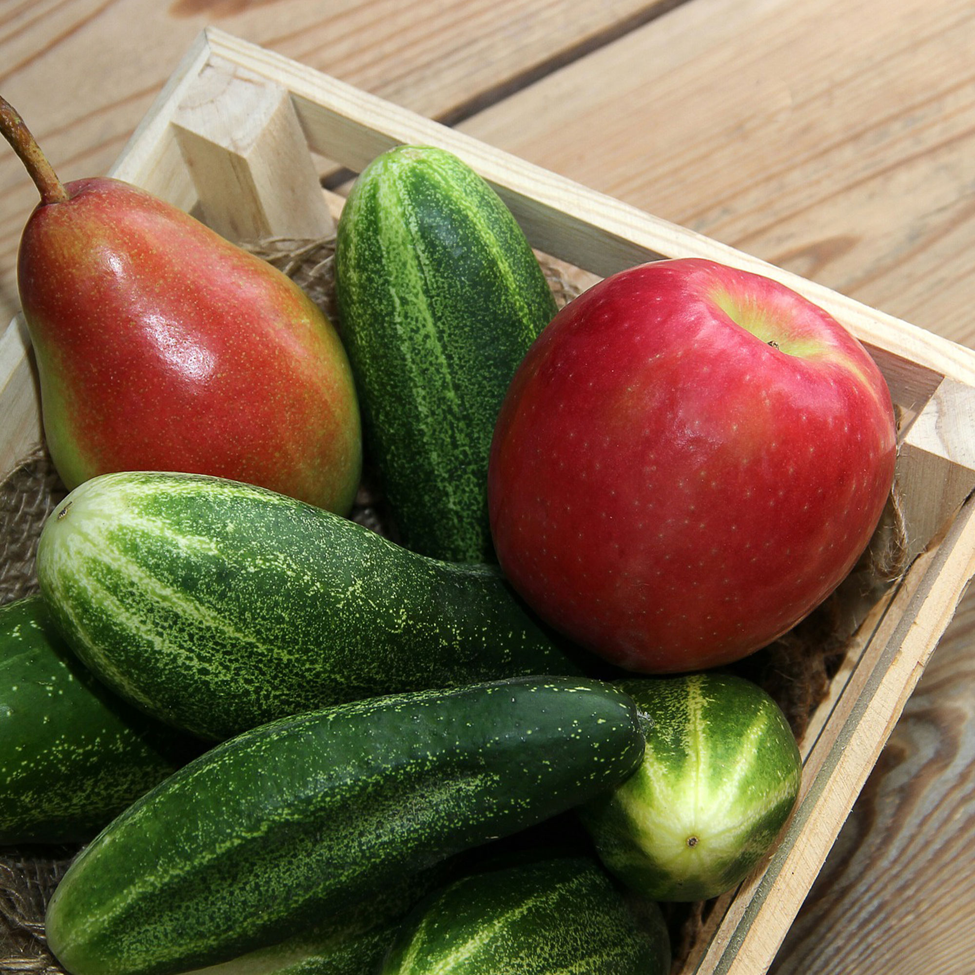 Cucumber Seeds - Delikatesse - 5 Lb Bulk ~76,000 Seeds - Farm & Garden