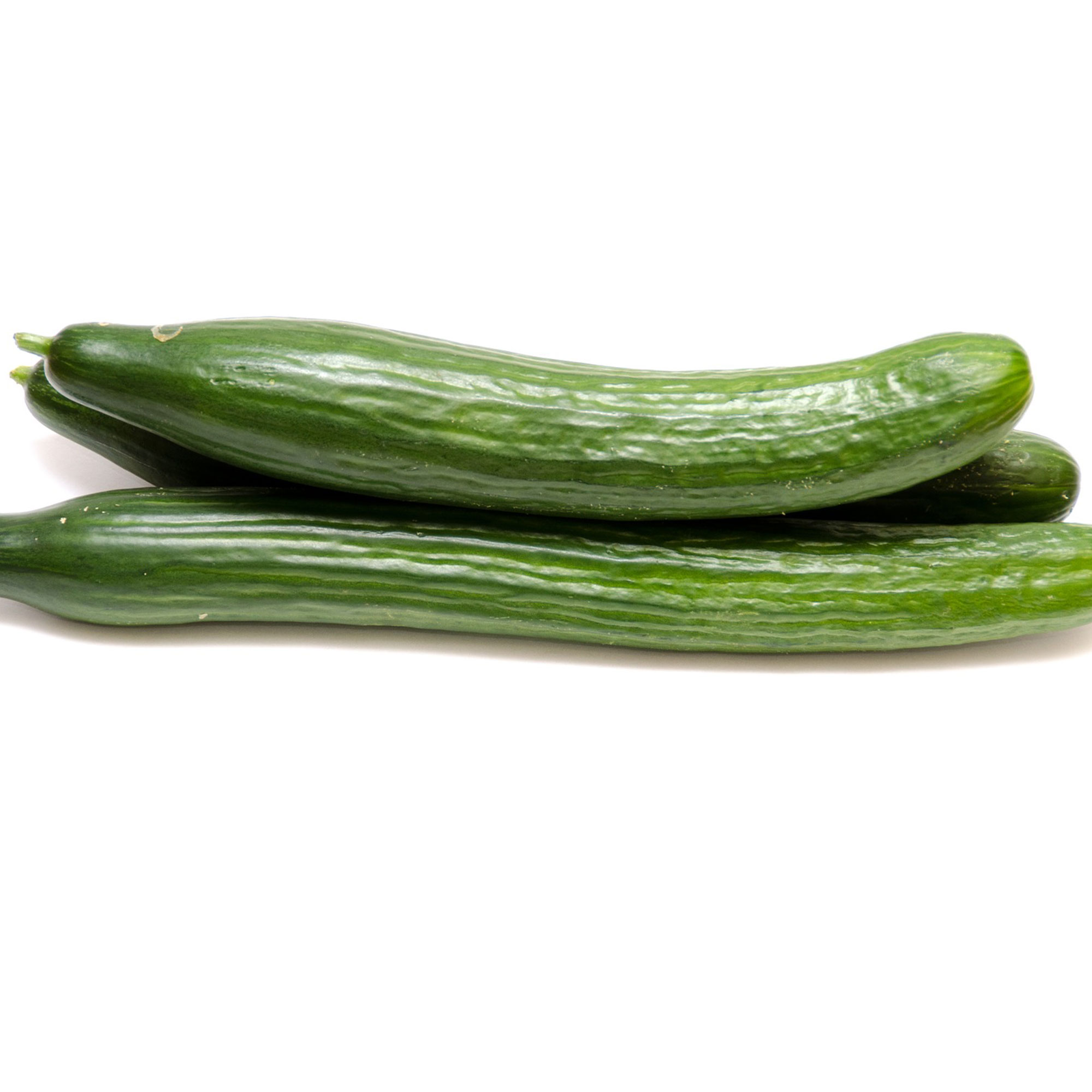 Cucumber Early Spring Burpless F1 - 5 Lb Bulk ~76K Seeds, Hybrid - Buy Non-GMO Cucumis sativus Farm & Gardening Seeds Online