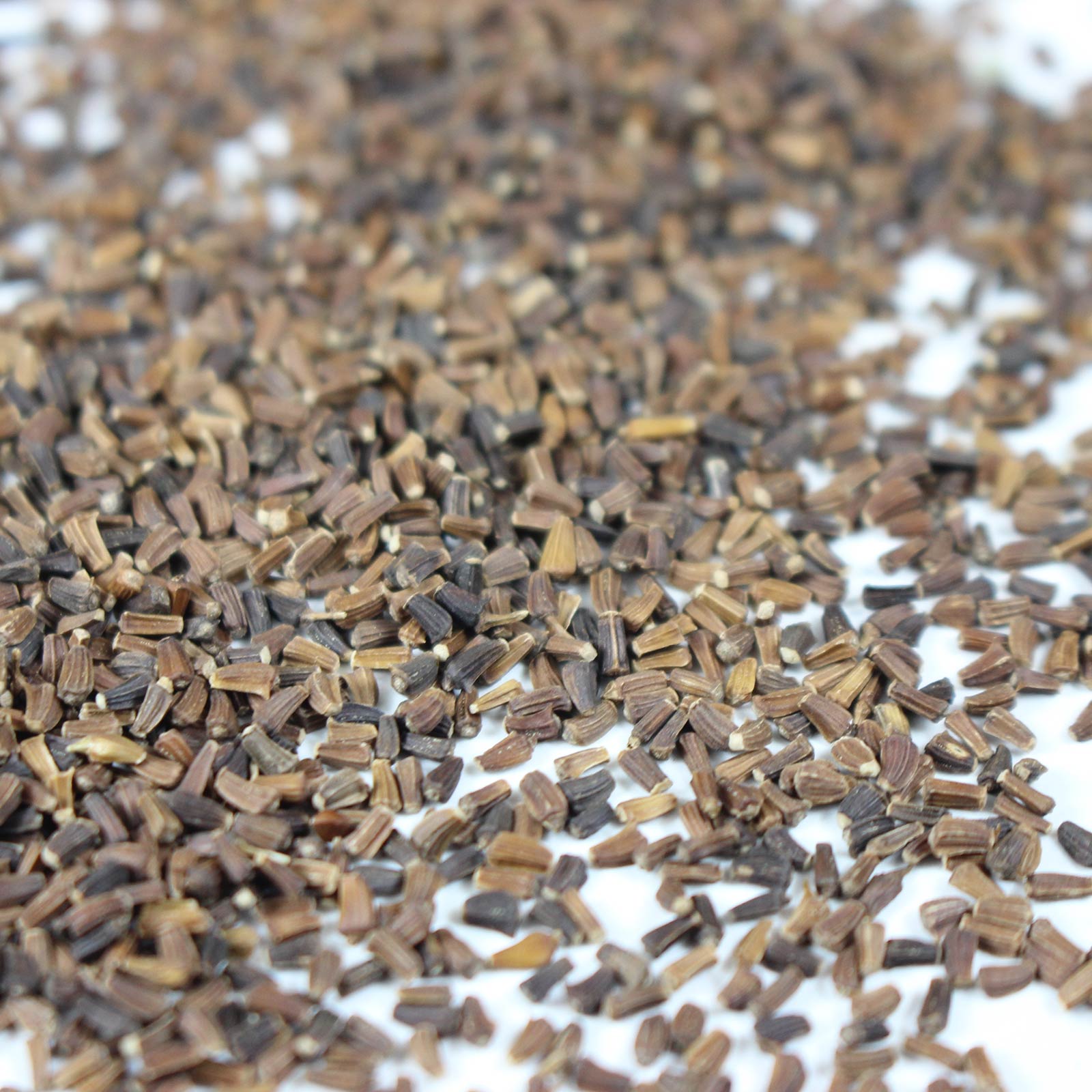 Chrysanthemum Flower Garden Seeds - Broad Leaf, Edible - 5 Lb - Microgreens - Buy Non-GMO Chrysanthemum coronarium Farm & Garden