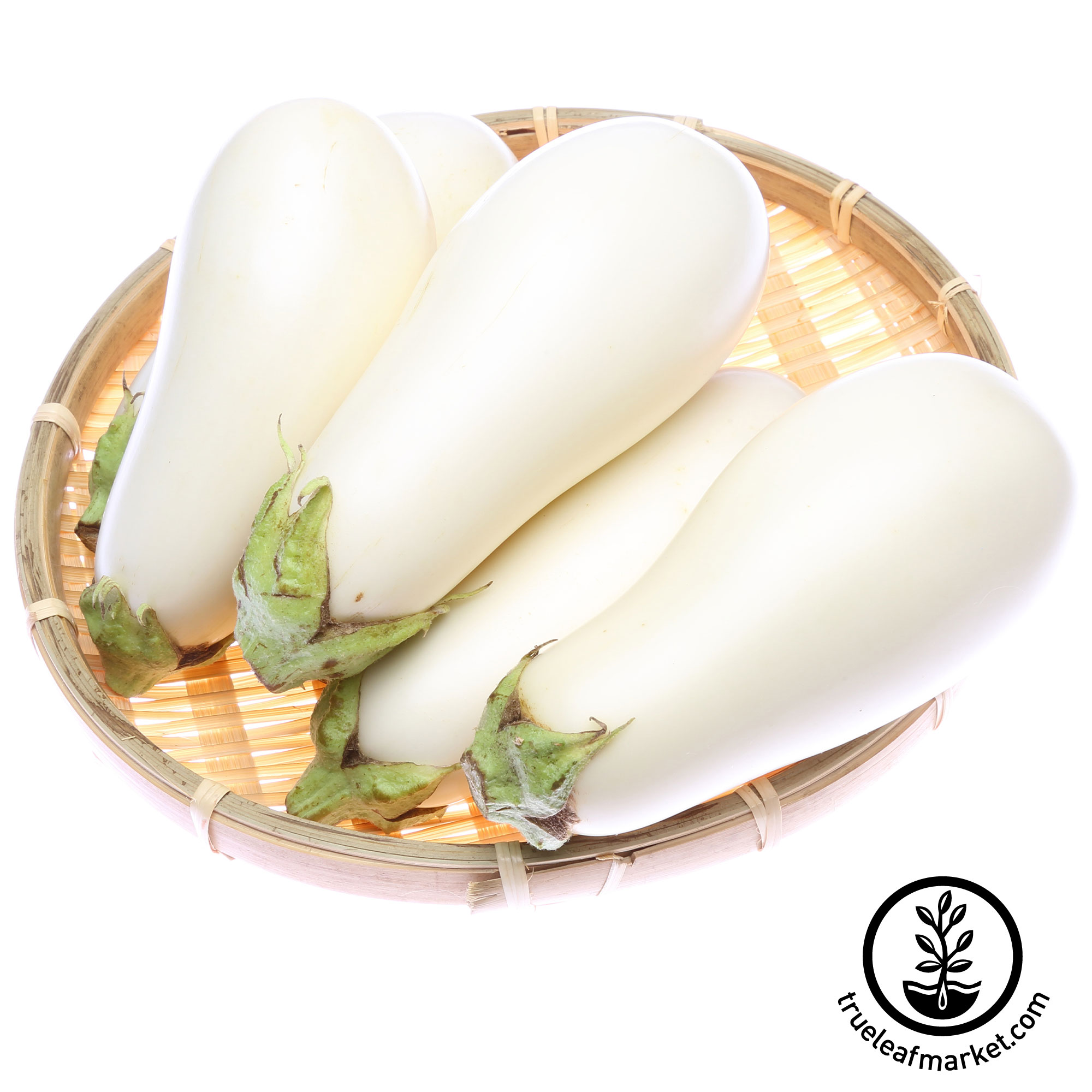 Eggplant Seeds - Casper White -1 G Packet ~200-Non-GMO, Heirloom - Buy Non-GMO Solanum melongena Farm & Gardening Seeds Online