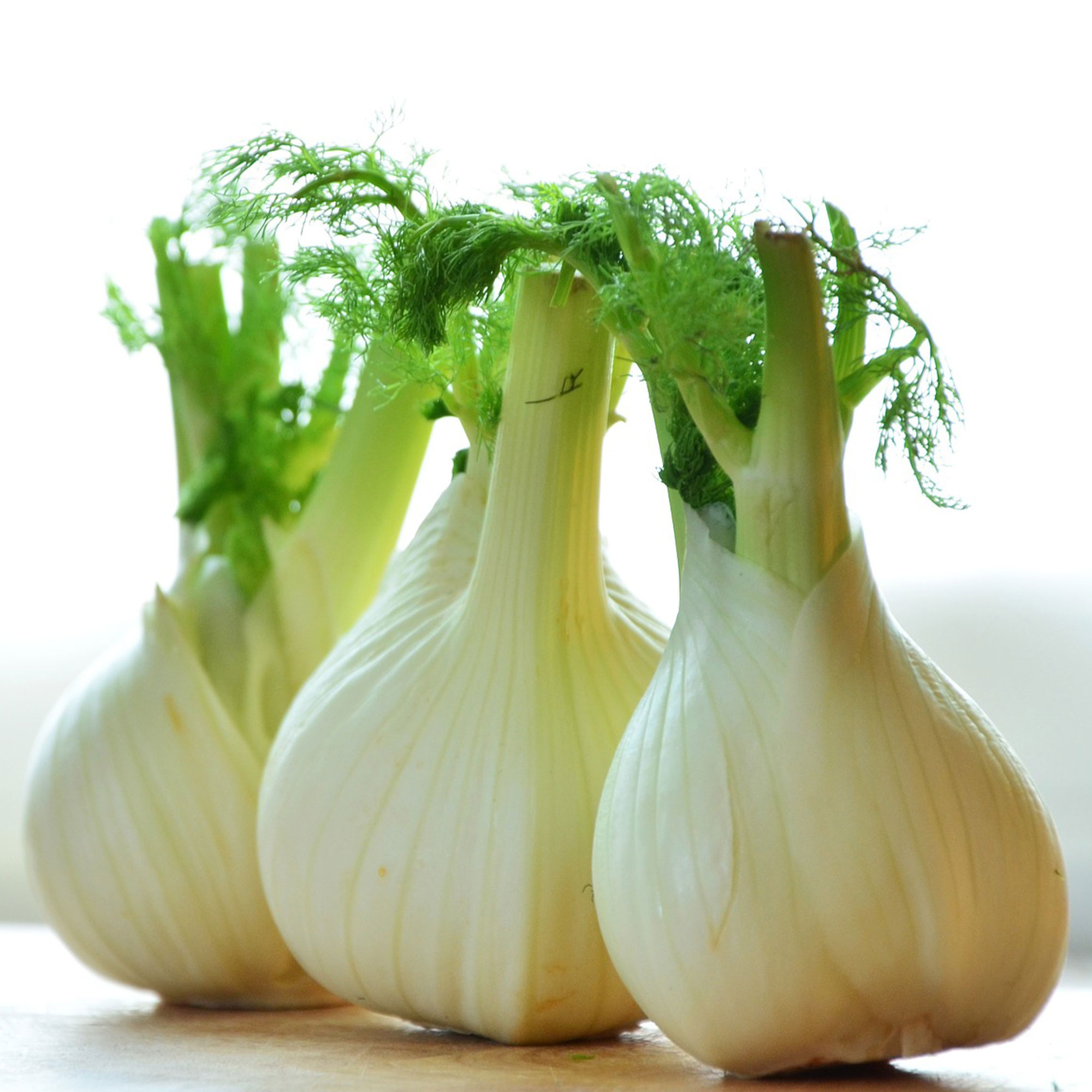 Fennel Seeds - Sweet - 5 Lb Bulk ~680,000 -Culinary Herb & Microgreens - Buy Non-GMO Foeniculum Vulgar Dulce Farm & Gardening Se