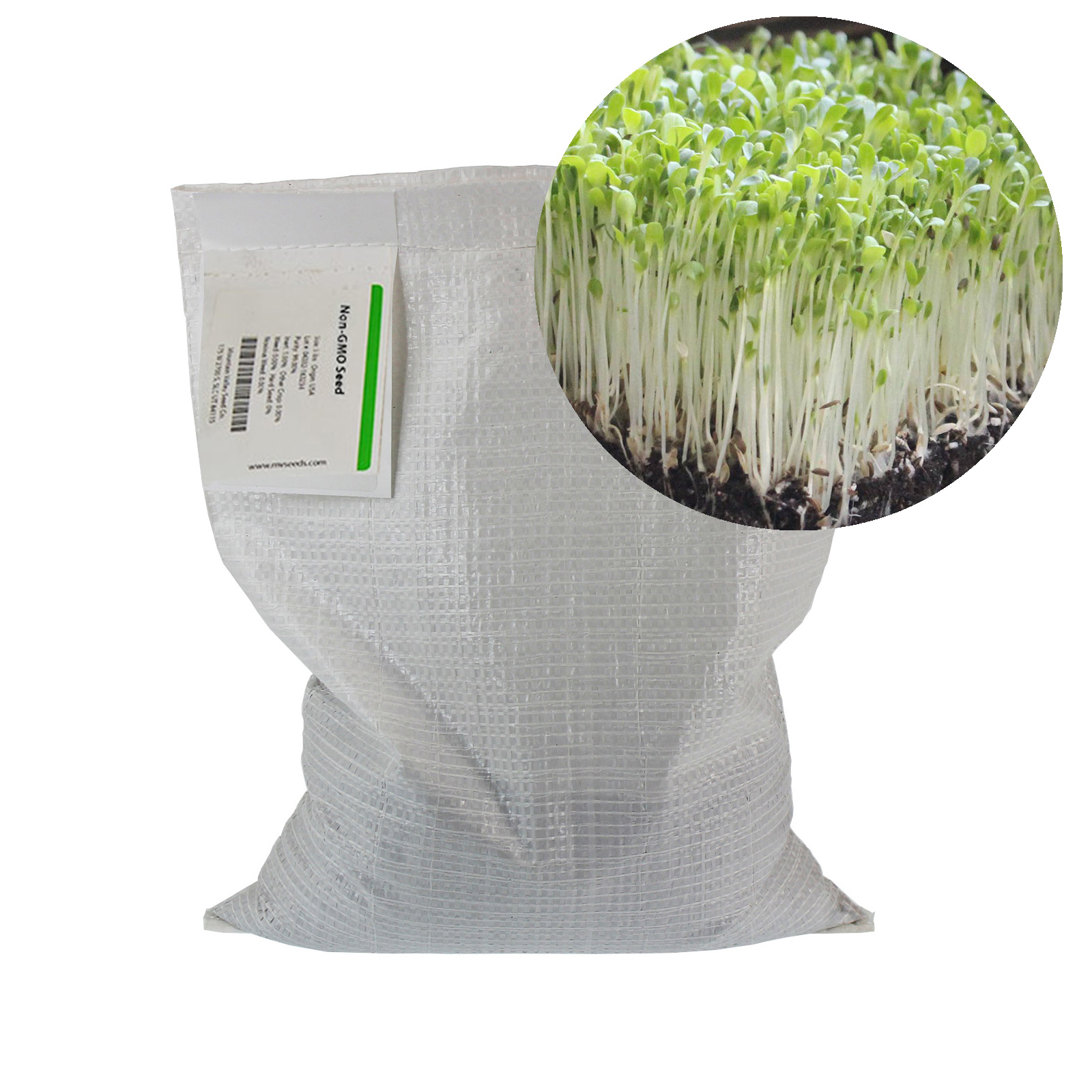 Seeds: Gourmet Mixed Lettuce Greens - Garden - 5 Lbs Bulk - Non-GMO - Buy Non-GMO Lactuca sativa Farm & Gardening Seeds Online