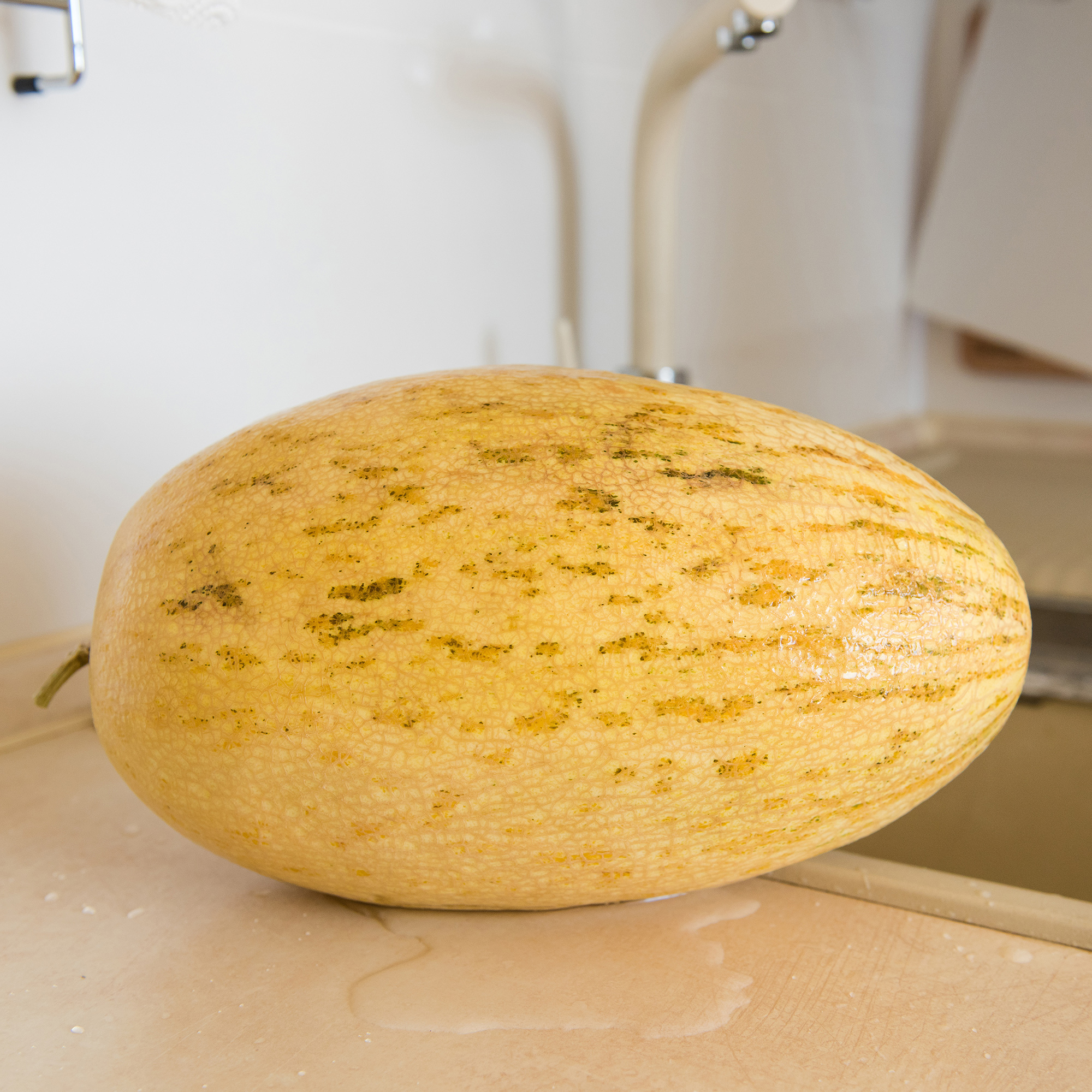 Melon - Banana - 4 g Packet ~120 Seeds- Garden Vegetable / Fruit - Buy Non-GMO Cucumis melo Farm & Gardening Seeds Online