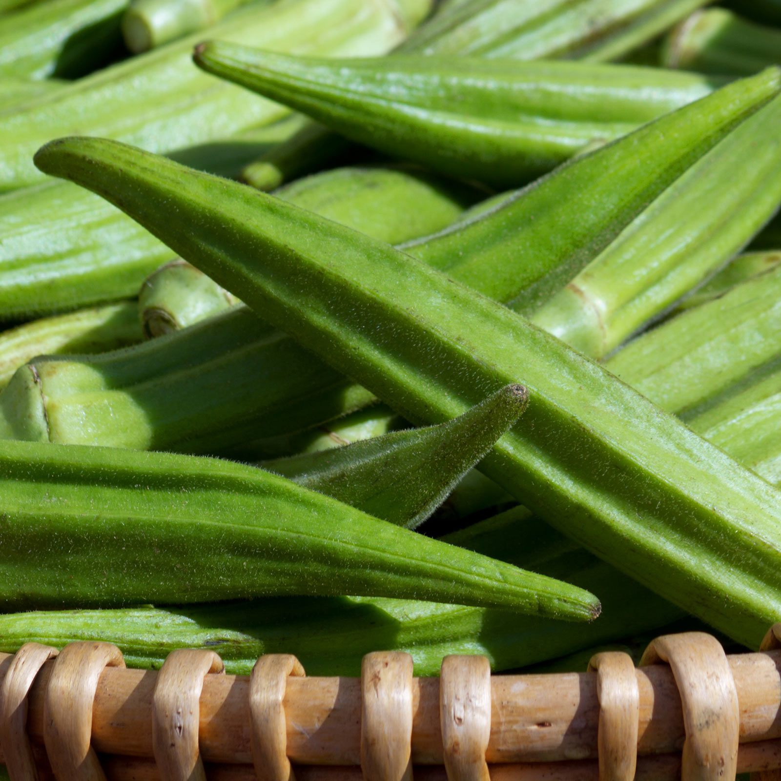 Okra - Lousiana Green Velvet - 10 g ~175 Seeds - Heirloom, Non-GMO Vegetable - Buy Non-GMO Abelmoschus esculentus Farm & Gardeni