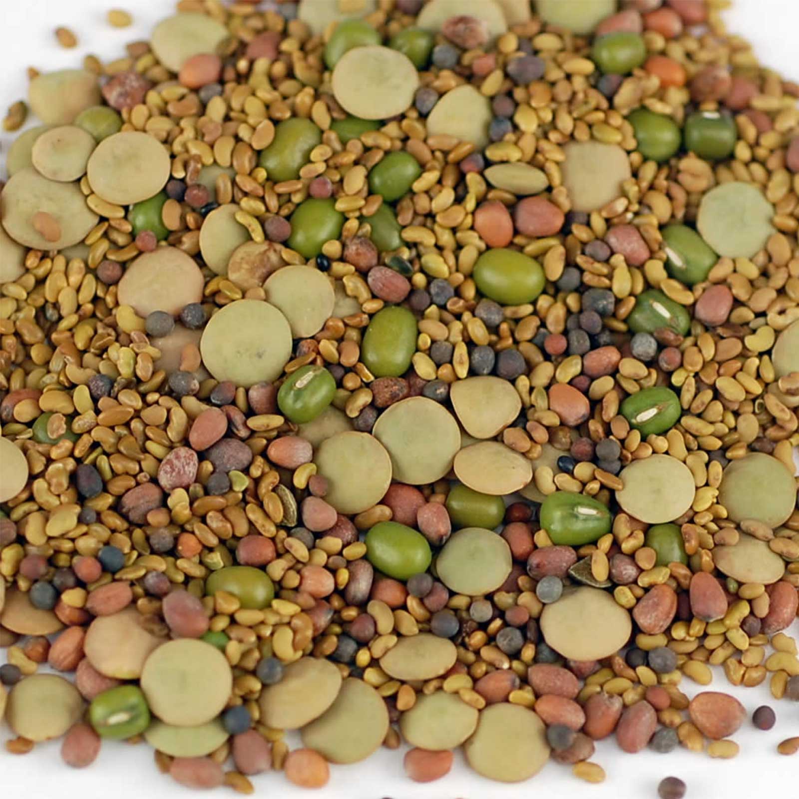 5 Part Organic Sprouting / Sprout Seed Salad Mix - Sprouts - 5 Lbs - Sprouts, Sprouting - Healthy Living & Raw Food - Grow, Grow