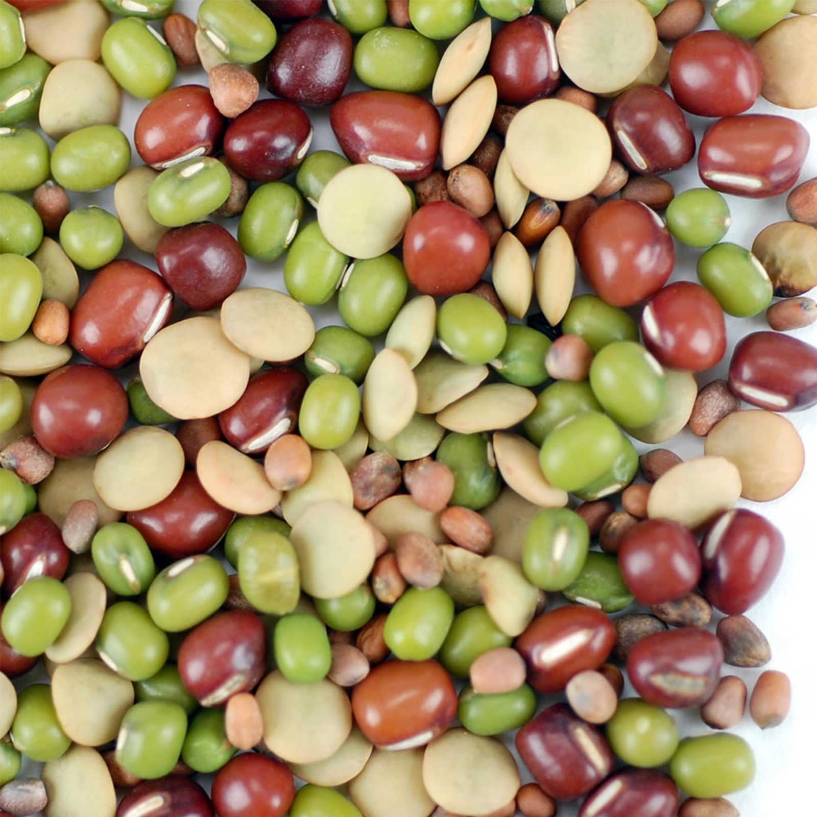 Organic Bean Salad Sprouting Mix-Adzuki Mung Lentil Radish-Seeds- 4 Oz - Sprouts, Sprouting - Healthy Living & Raw Food - Grow, 