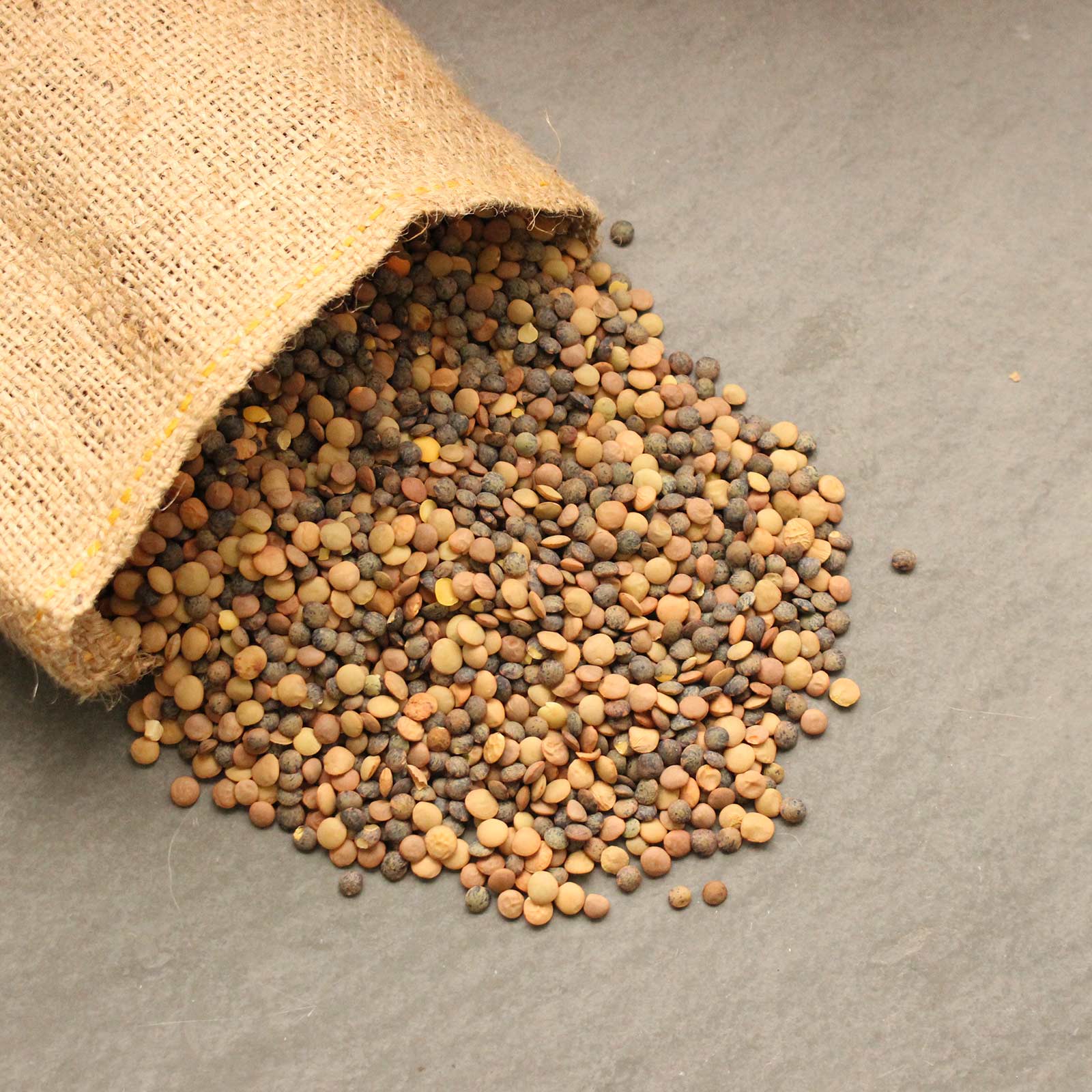 Organic Crunchy Lentil Fest Sprouting Seed Mix - Sprouts Seeds- 8 Oz - Buy Non-GMO Lens culinaris Farm & Gardening Seeds Online