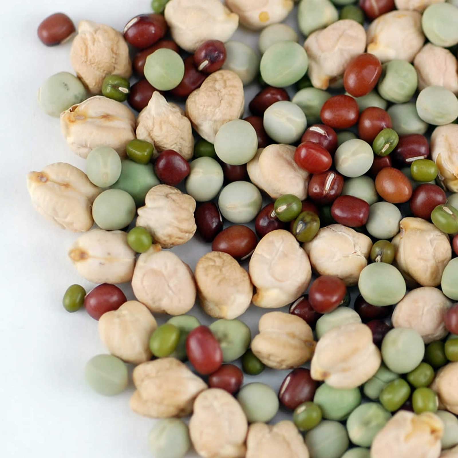 Organic Protein Powerhouse Sprouting Seed Mix- Seeds Sprouts-1 Lb - Sprouts, Sprouting - Healthy Living & Raw Food - Grow, Growi