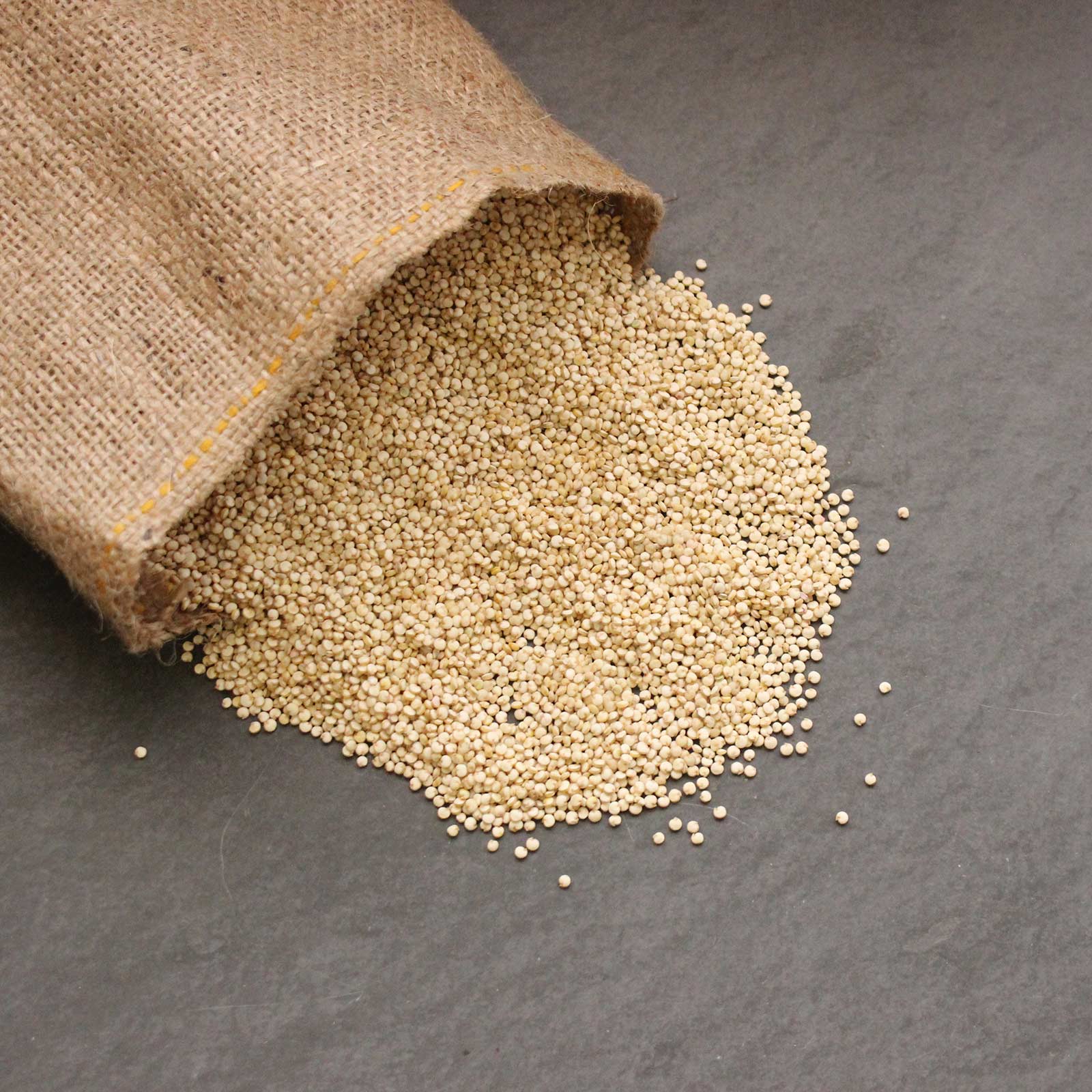 Organic Quinoa Grain -Sprouts, Cereal - 8 g Packet ~2500 Sprouting Seeds - Buy Non-GMO Chenopodium quinoa Farm & Gardening Seeds