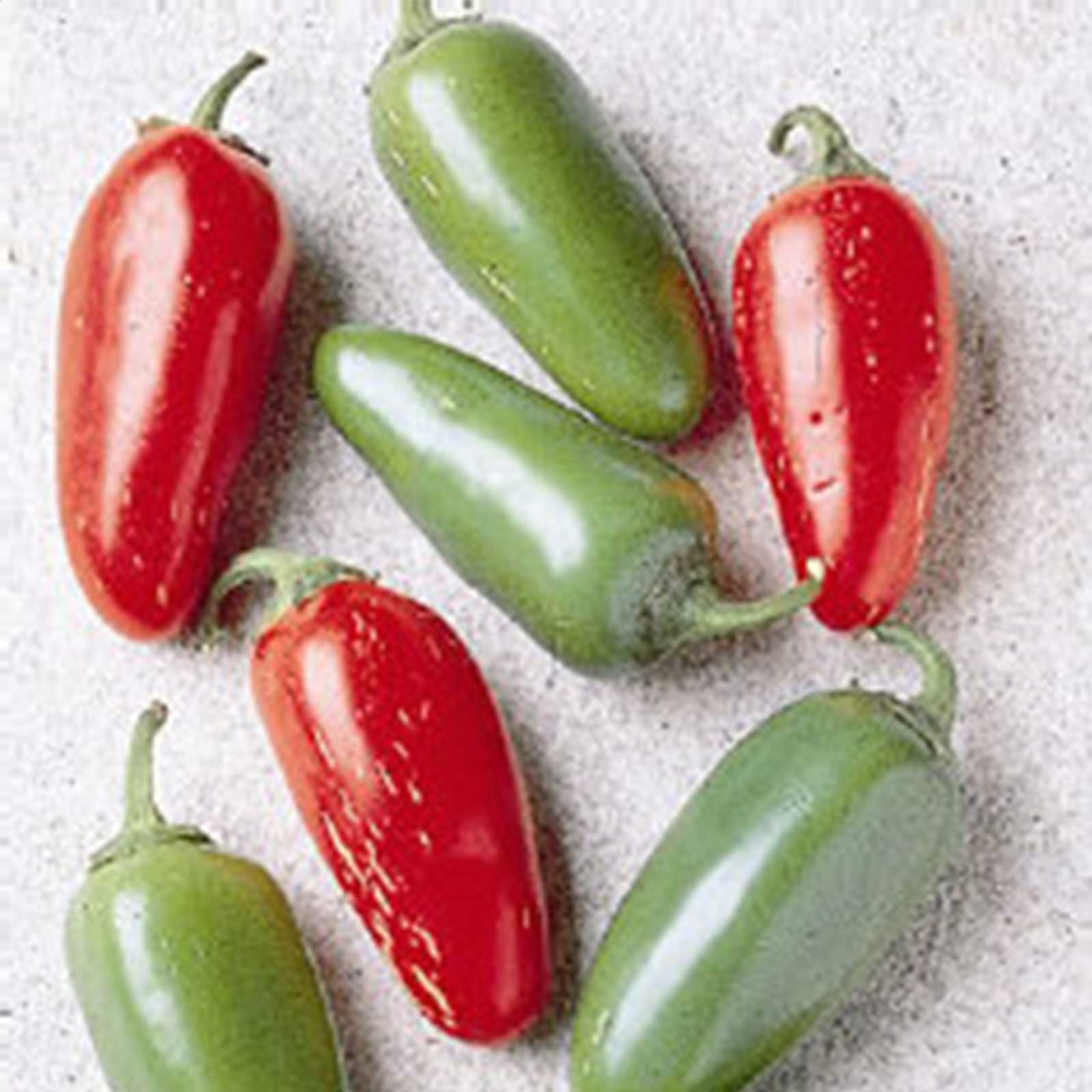 Seeds: Early Jalapeno Hot Pepper Garden - 4 Oz- Heirloom Vegetable - Buy Non-GMO Capsicum annuum Farm & Gardening Seeds Online