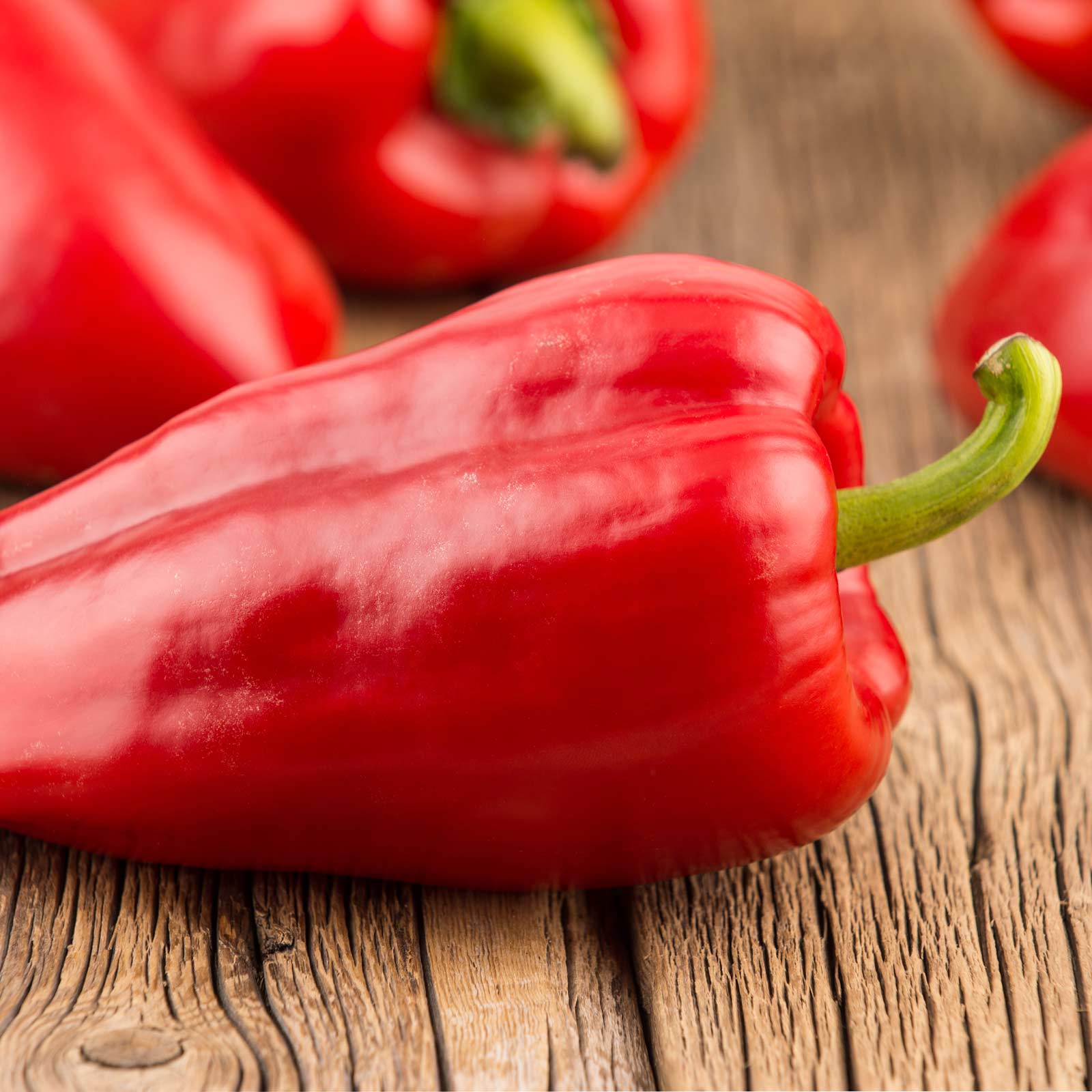 Seeds: Mariachi Hybrid Hot Pepper Garden - 100 Seed Packet - Non-GMO - Buy Non-GMO Capsicum annuum Farm & Gardening Seeds Online