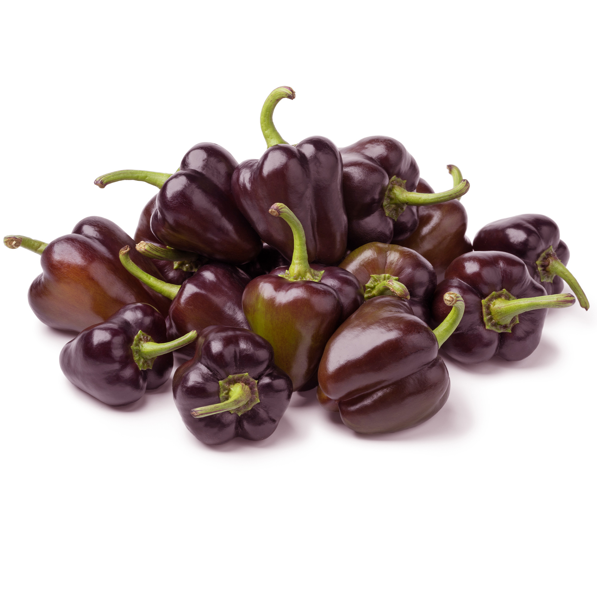 Sweet Pepper Seeds - Minature Chocolate Bell - 1 Lb Bulk ~80,000 - Buy Non-GMO Capsicum annuum Farm & Gardening Seeds Online