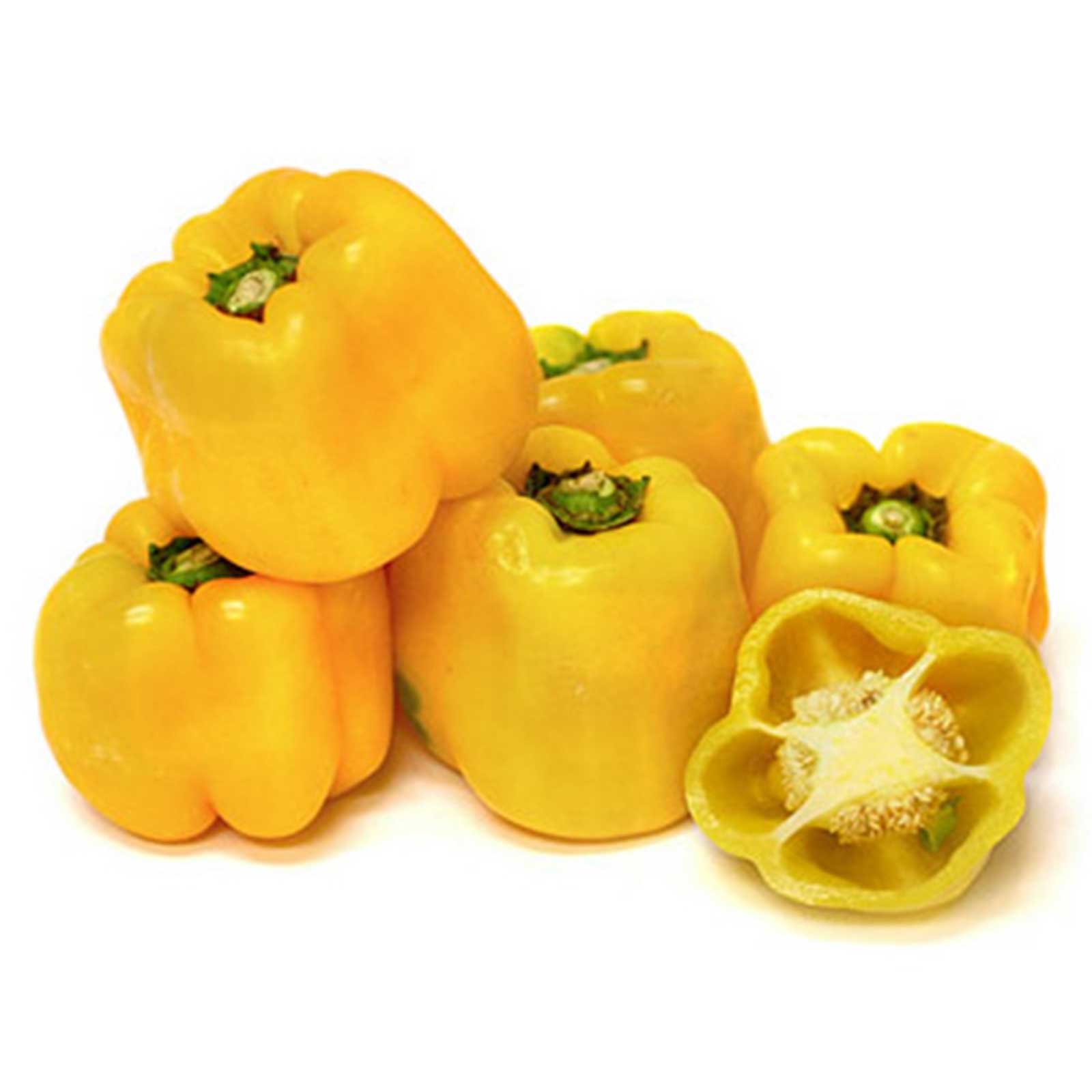 Seeds: Sunbright - Sweet Pepper Garden - 4 Oz- Non-GMO - Bell Peppers - Buy Non-GMO Capsicum annuum Farm & Gardening Seeds Onlin