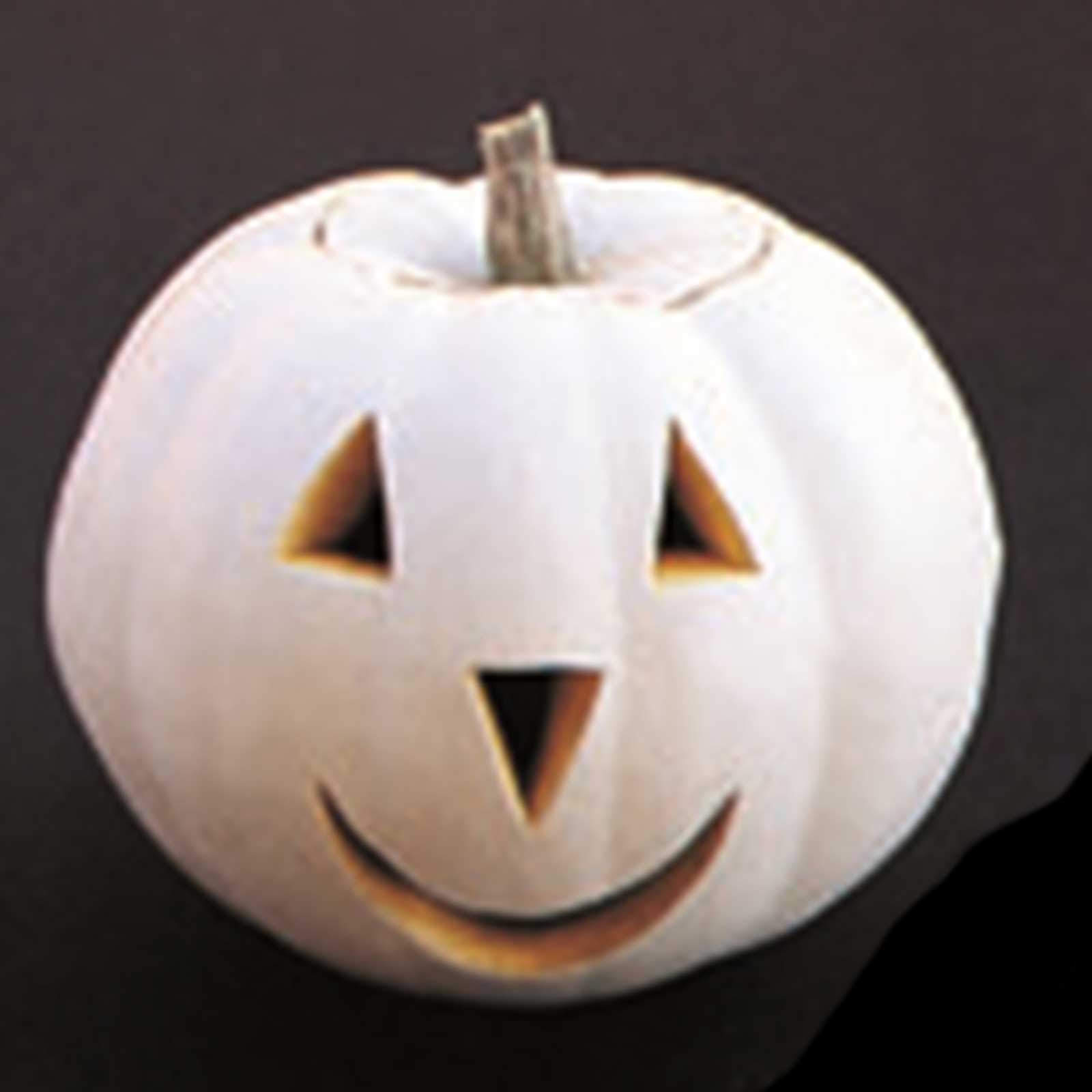 Seeds: Pumpkin Garden - Lumina Variety - 1 oz- Non-GMO Heirloom White - Buy Non-GMO Cucurbita maxima Farm & Gardening Seeds Onli