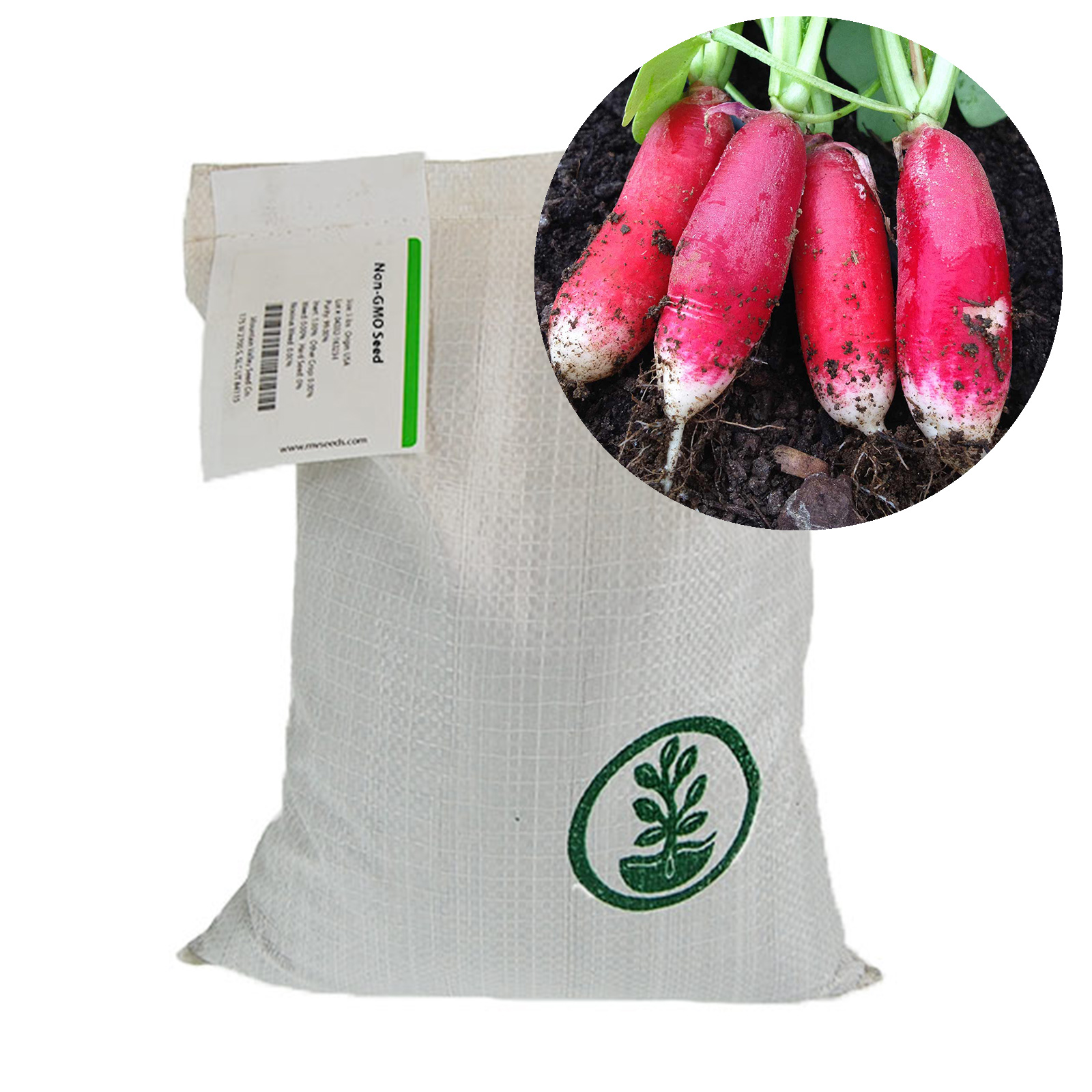 Radish China Rose Microgreens Seeds - 1 Lb Bulk Wholesale Micro Seed - Buy Non-GMO Raphanus sativus Farm & Gardening Seeds Onlin