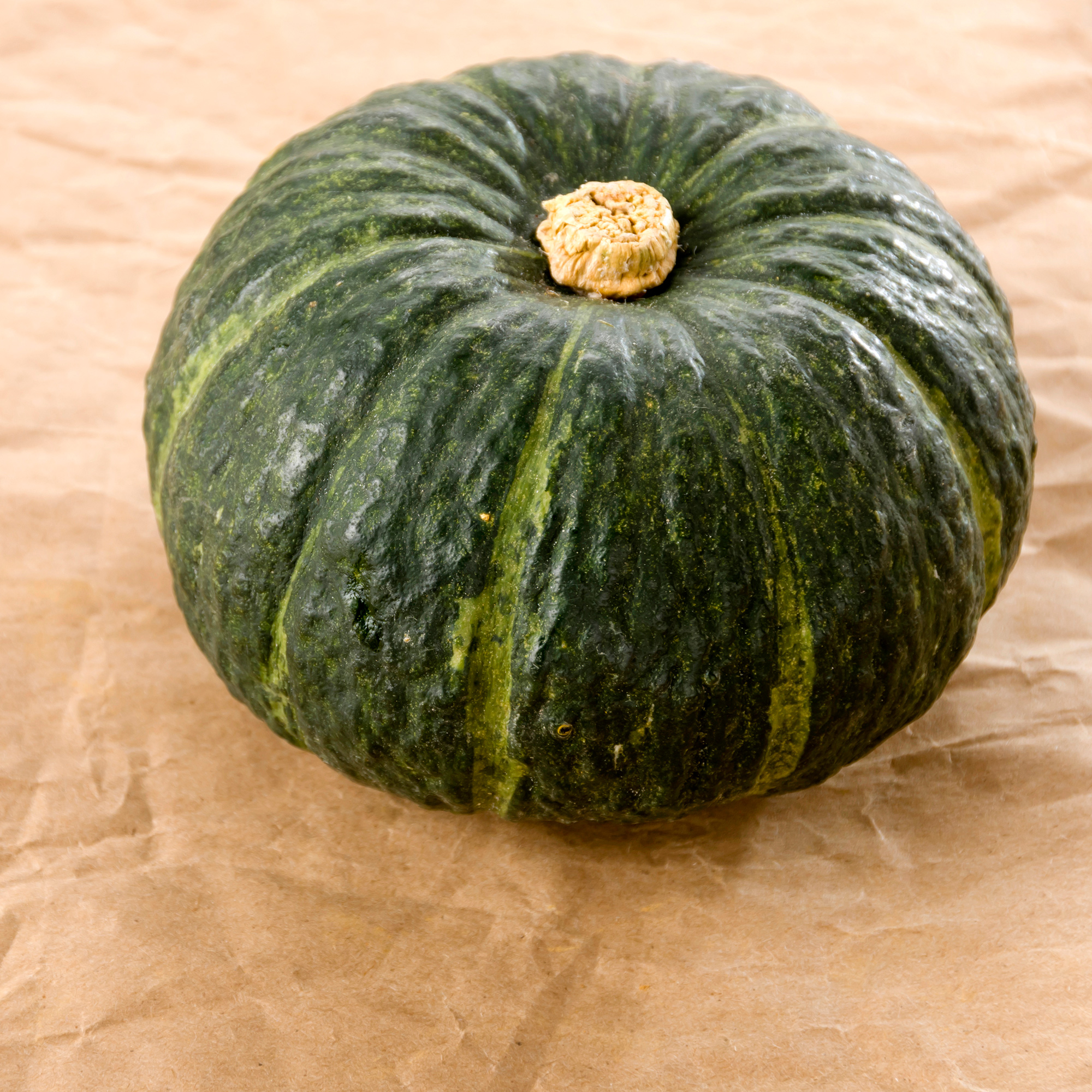 Squash Italian Zucca de Lungo Verde Seeds - 4 G ~35 Seeds -Non-GMO - Buy Non-GMO Cucurbita pepo Farm & Gardening Seeds Online