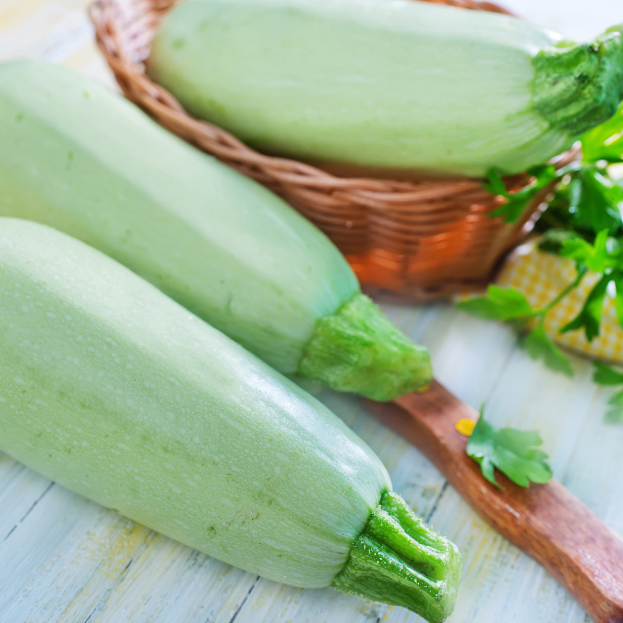 Squash Summer Marrow White Bush Seeds - 1 Oz ~250 Seeds - Non-GMO - Buy Non-GMO Cucurbita pepo Farm & Gardening Seeds Online