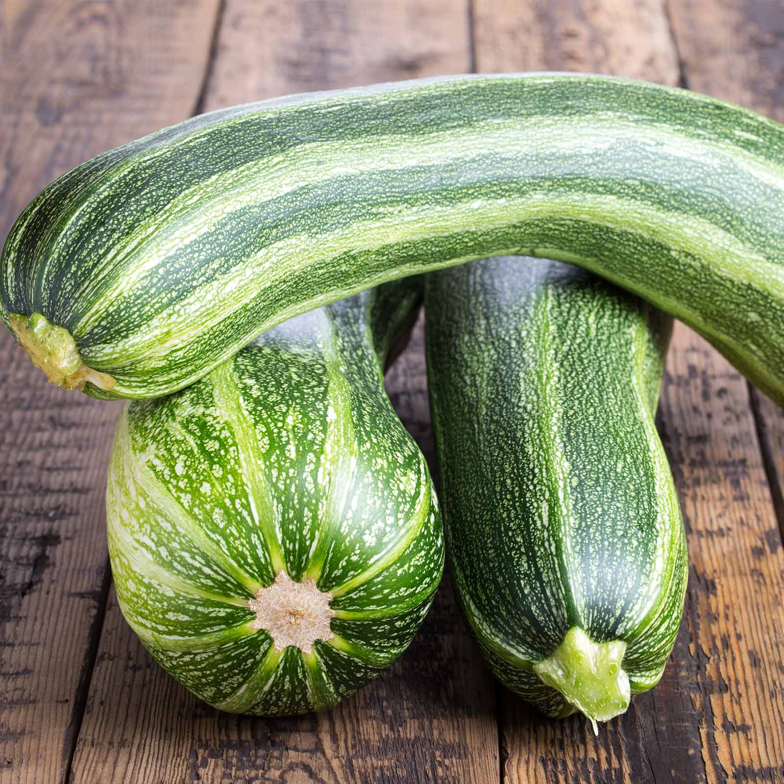 Italian Striped Zucchini Summer Squash - 4 g Packet ~36 Seeds - Garden - Buy Non-GMO Cucurbita pepo Farm & Gardening Seeds Onlin